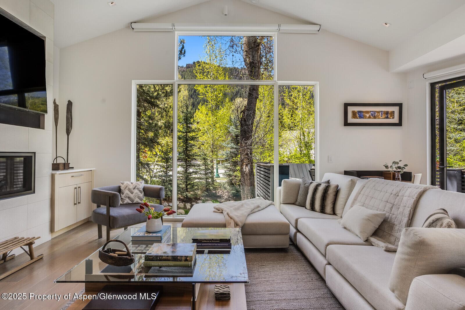 100 Park Avenue, Aspen, CO 81611
