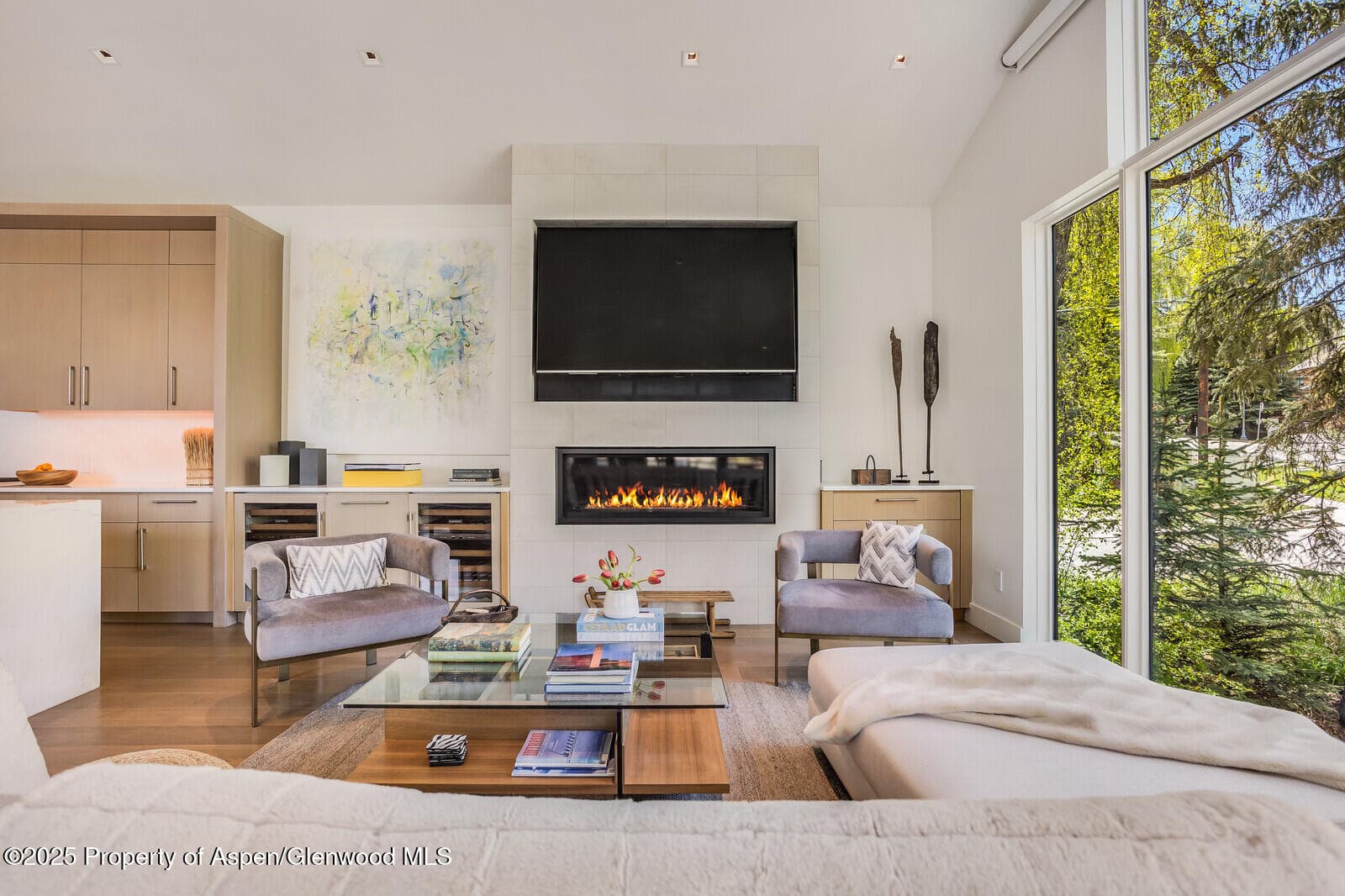 100 Park Avenue, Aspen, CO 81611 - Photo 4