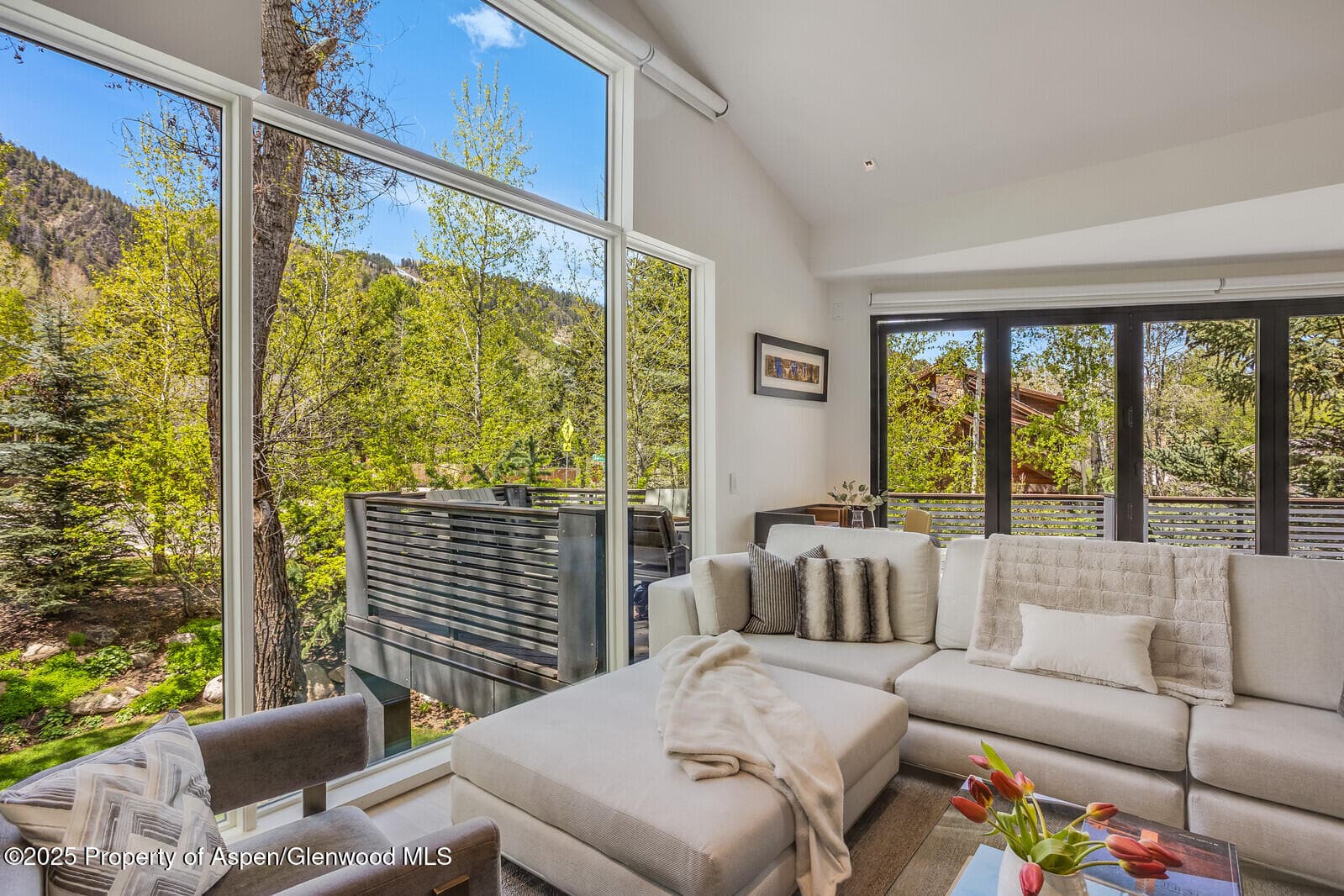 100 Park Avenue, Aspen, CO 81611 - Photo 5