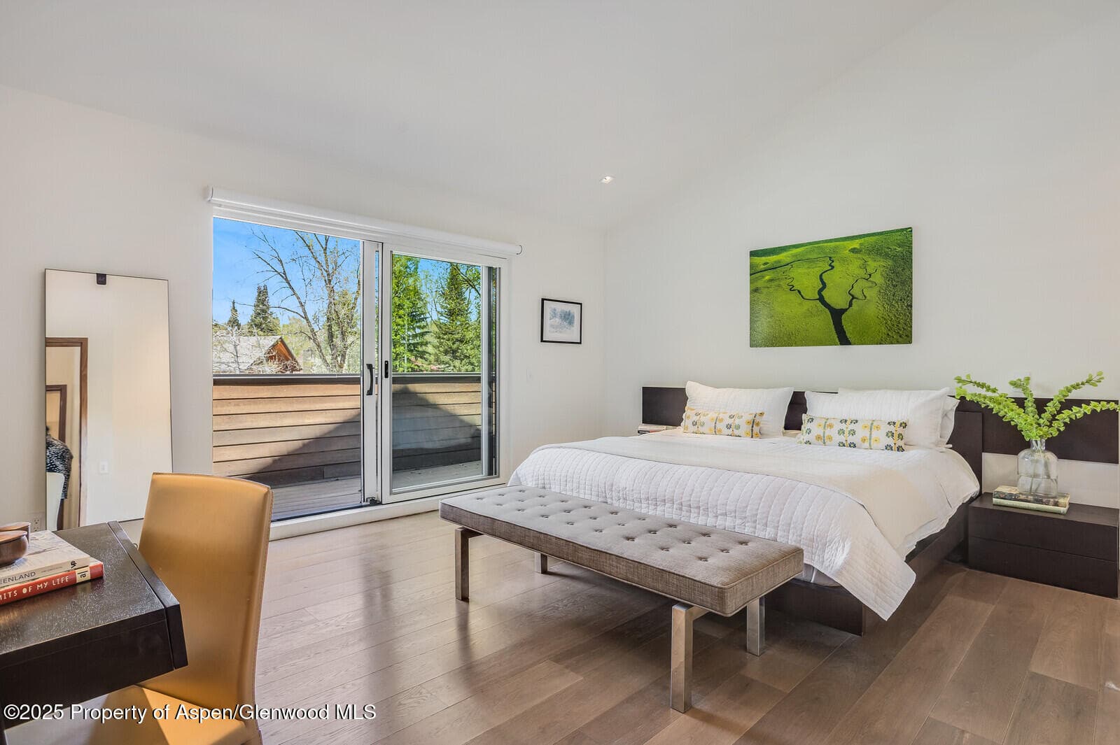 100 Park Avenue, Aspen, CO 81611 - Photo 15