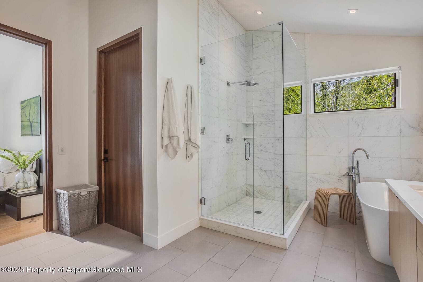 100 Park Avenue, Aspen, CO 81611 - Photo 19
