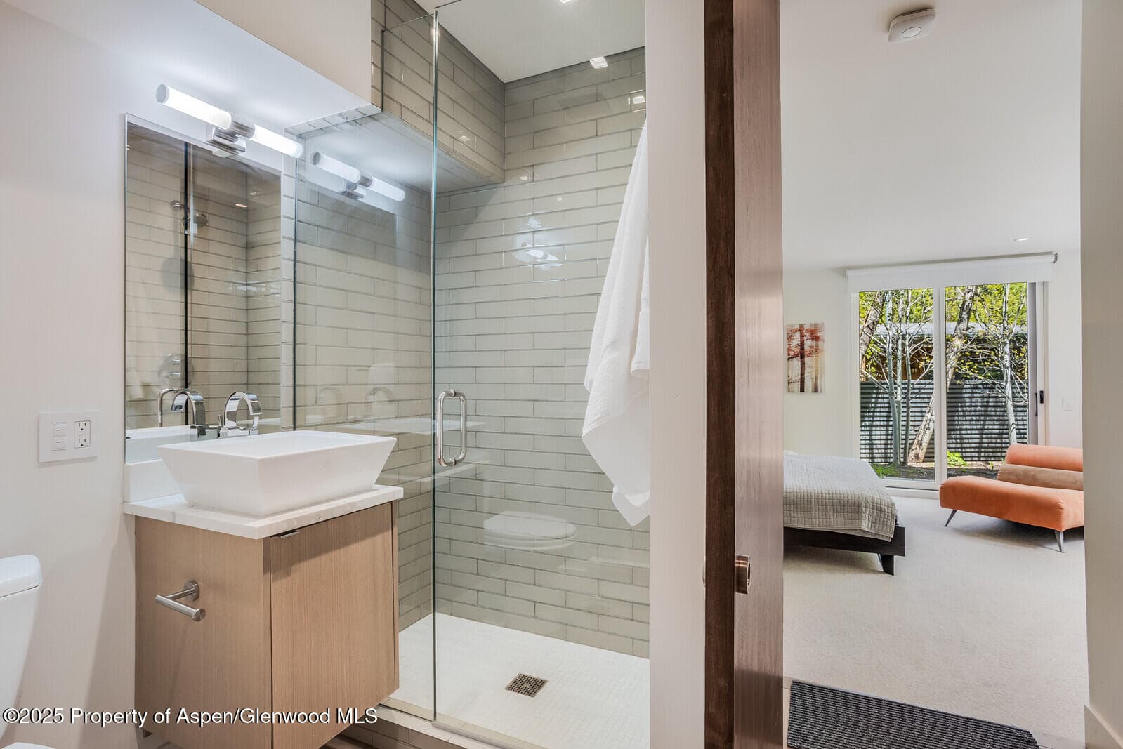 100 Park Avenue, Aspen, CO 81611 - Photo 24