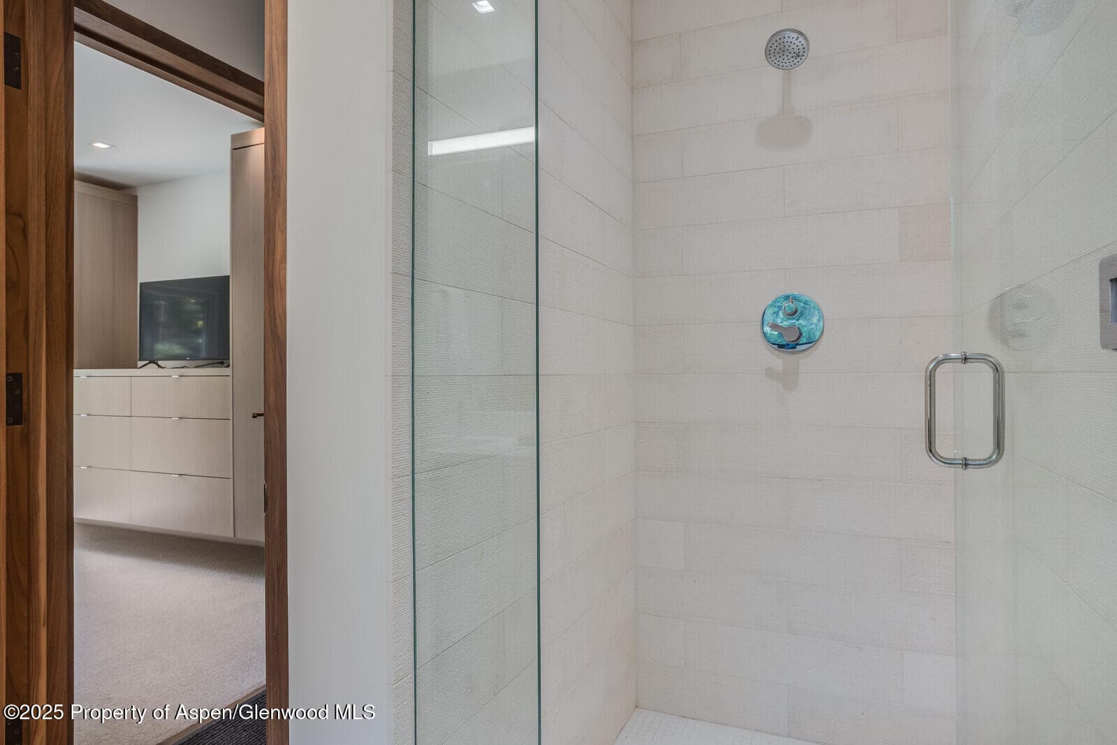 100 Park Avenue, Aspen, CO 81611 - Photo 28