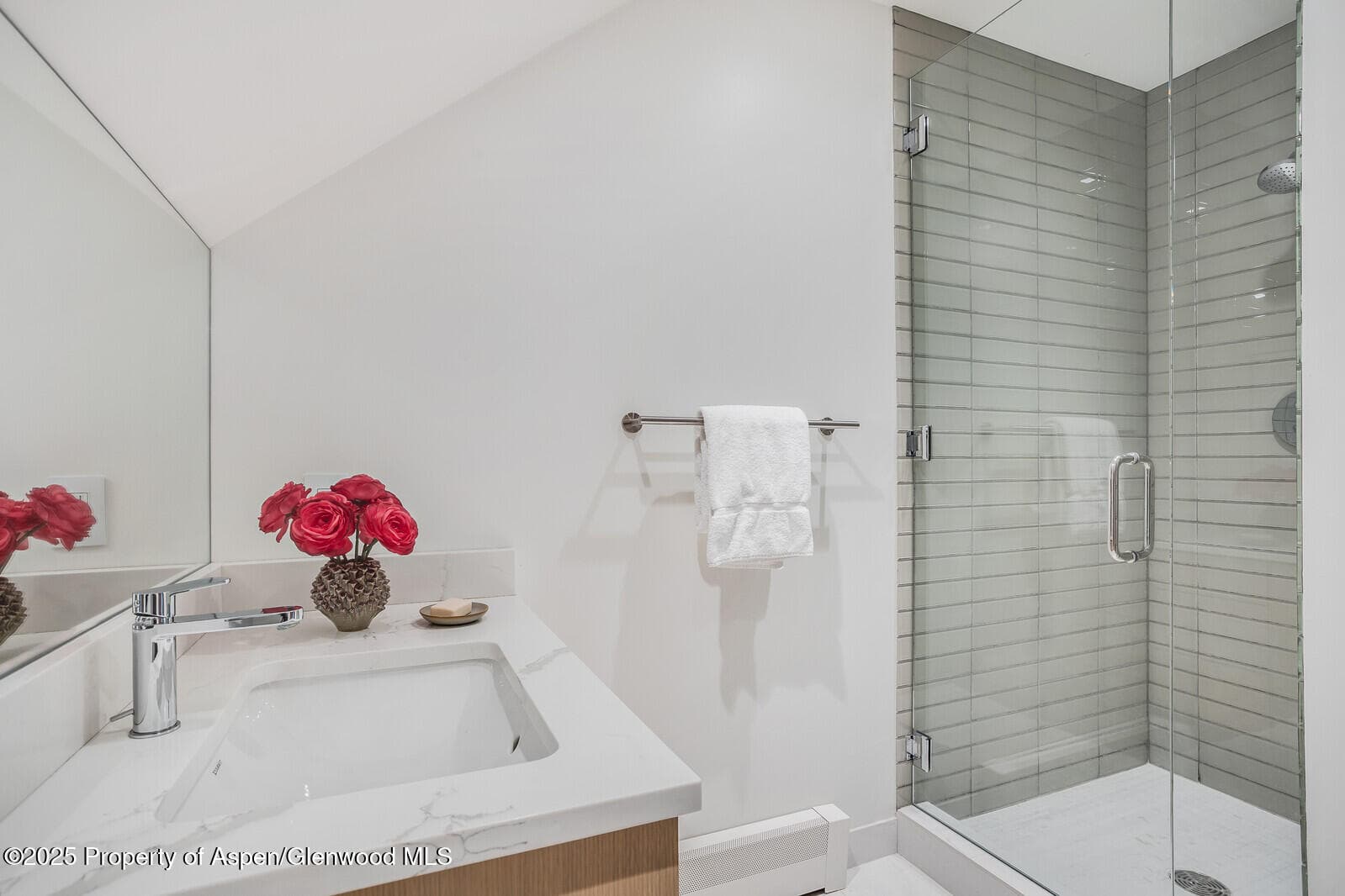 100 Park Avenue, Aspen, CO 81611 - Photo 30