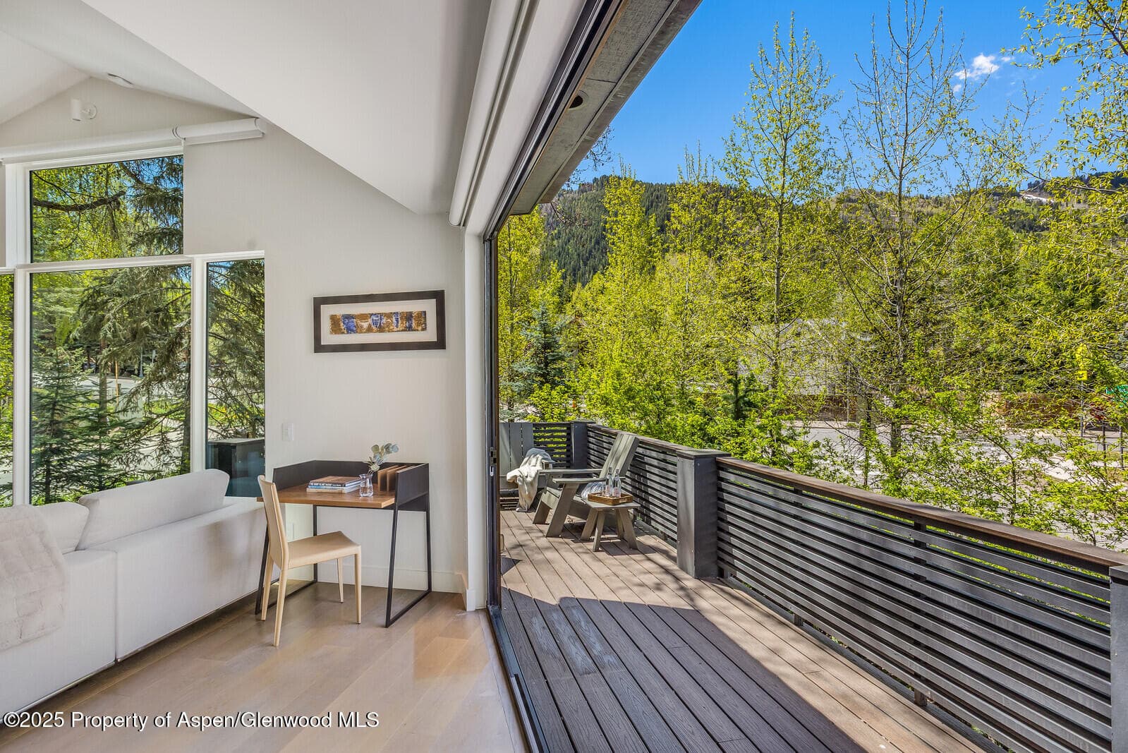 100 Park Avenue, Aspen, CO 81611 - Photo 35