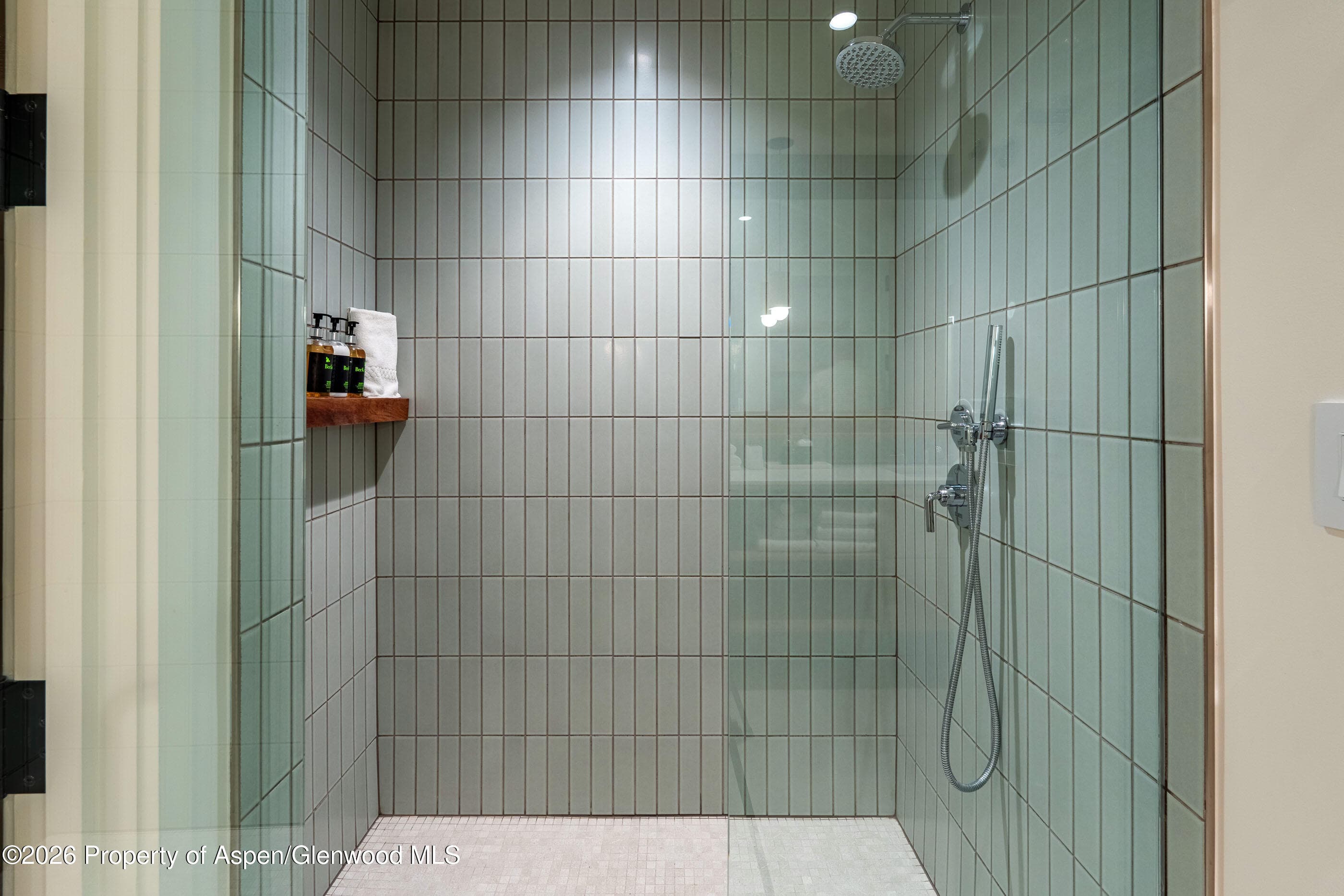 119 Wood Road 503, Snowmass Village, CO 81615 - Photo 10