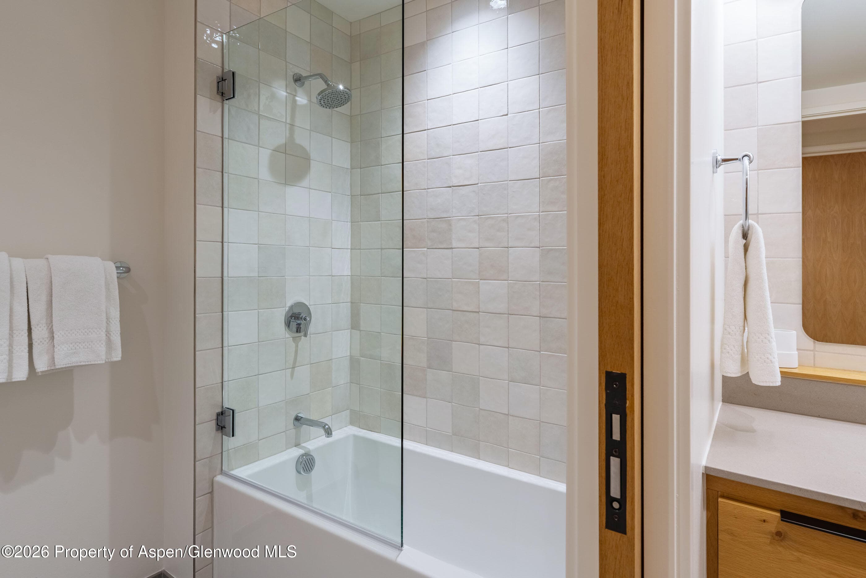 119 Wood Road 503, Snowmass Village, CO 81615 - Photo 15