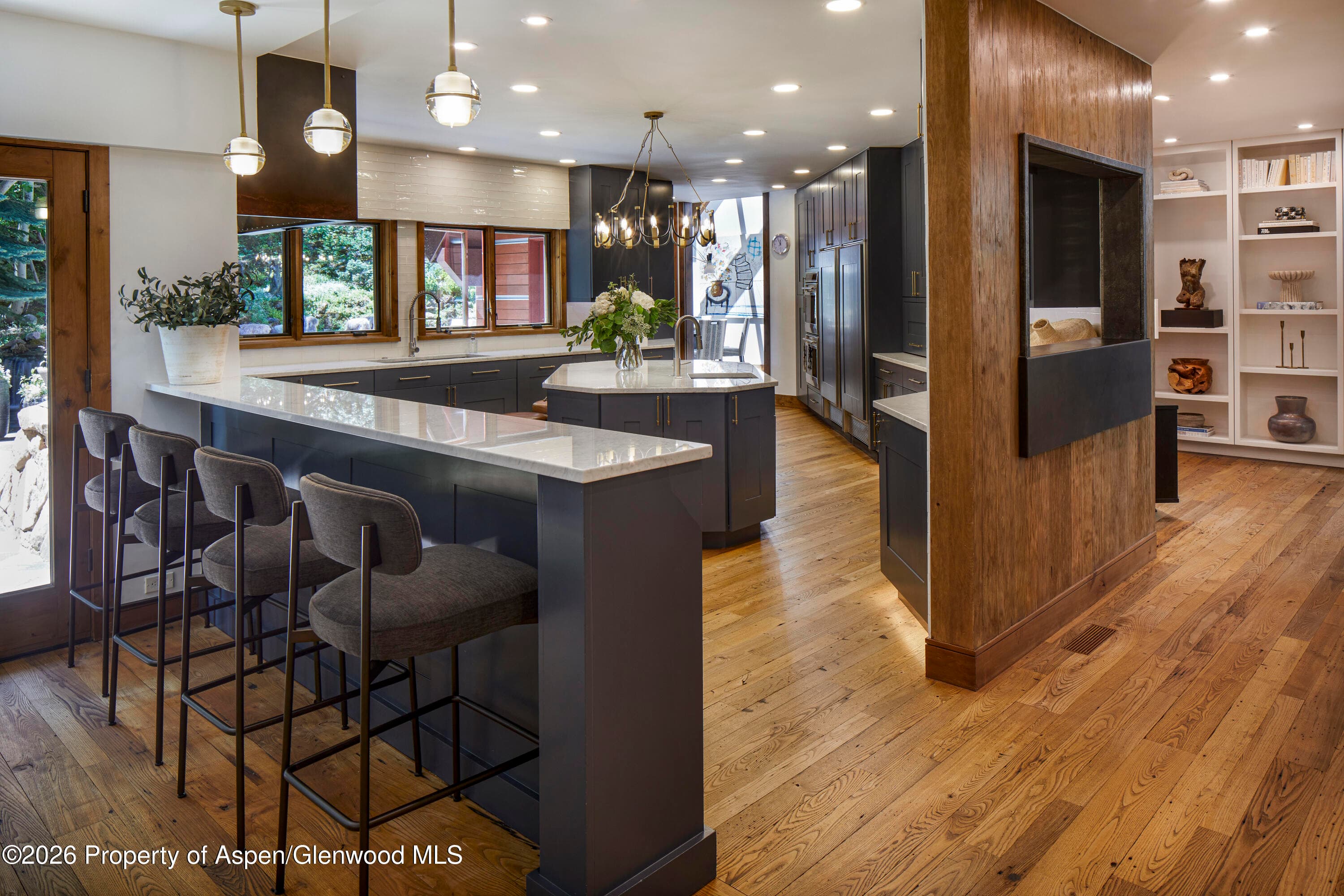 970 Powder Lane, Aspen, CO 81611 - Photo 8