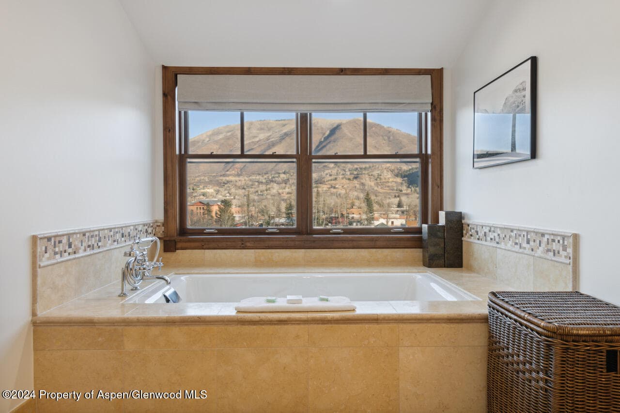 415 E Dean St., Unit 45, Weeks 51/52, Aspen, CO 81611 - Photo 17
