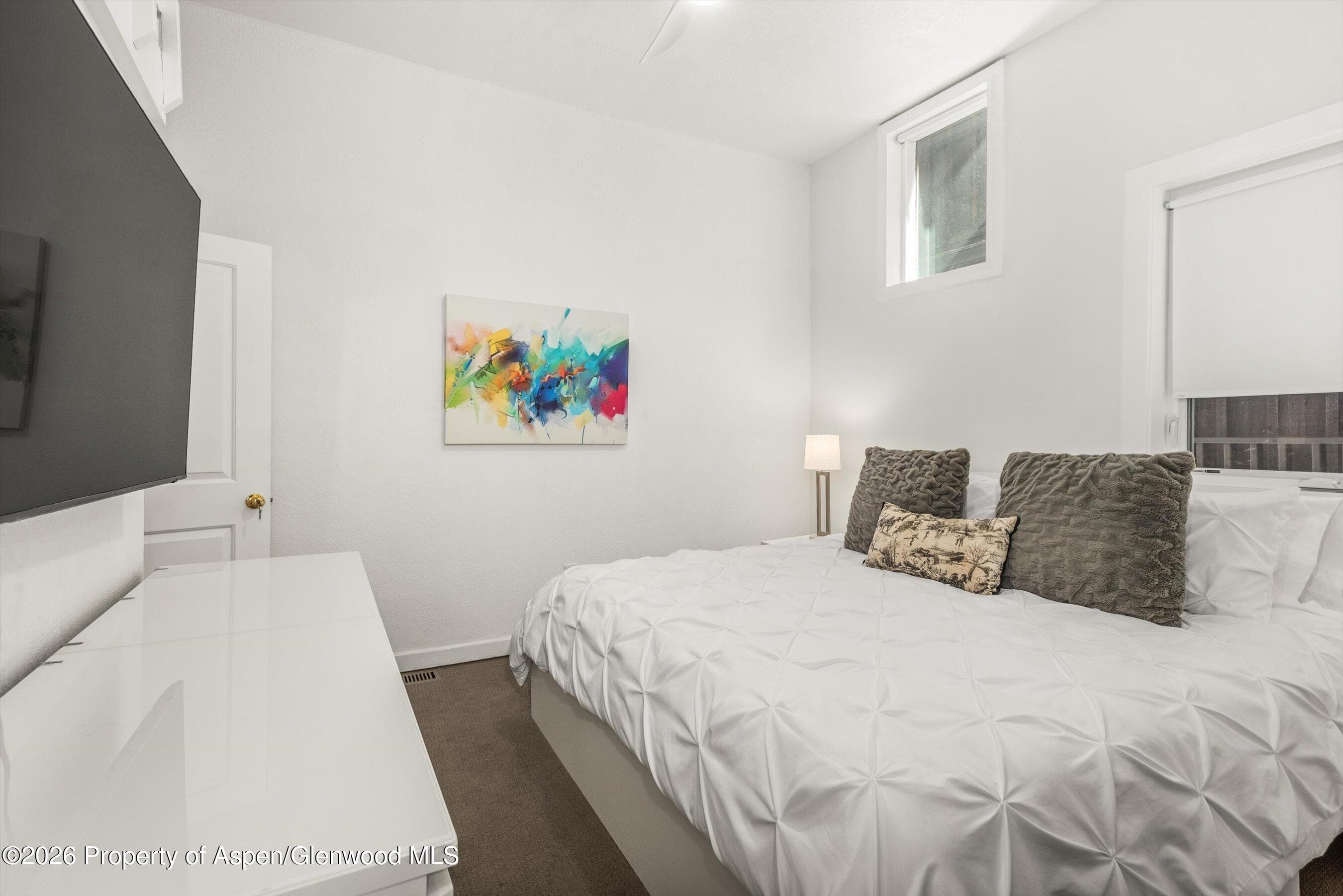 560 Spruce Street, Aspen, CO 81611 - Photo 11