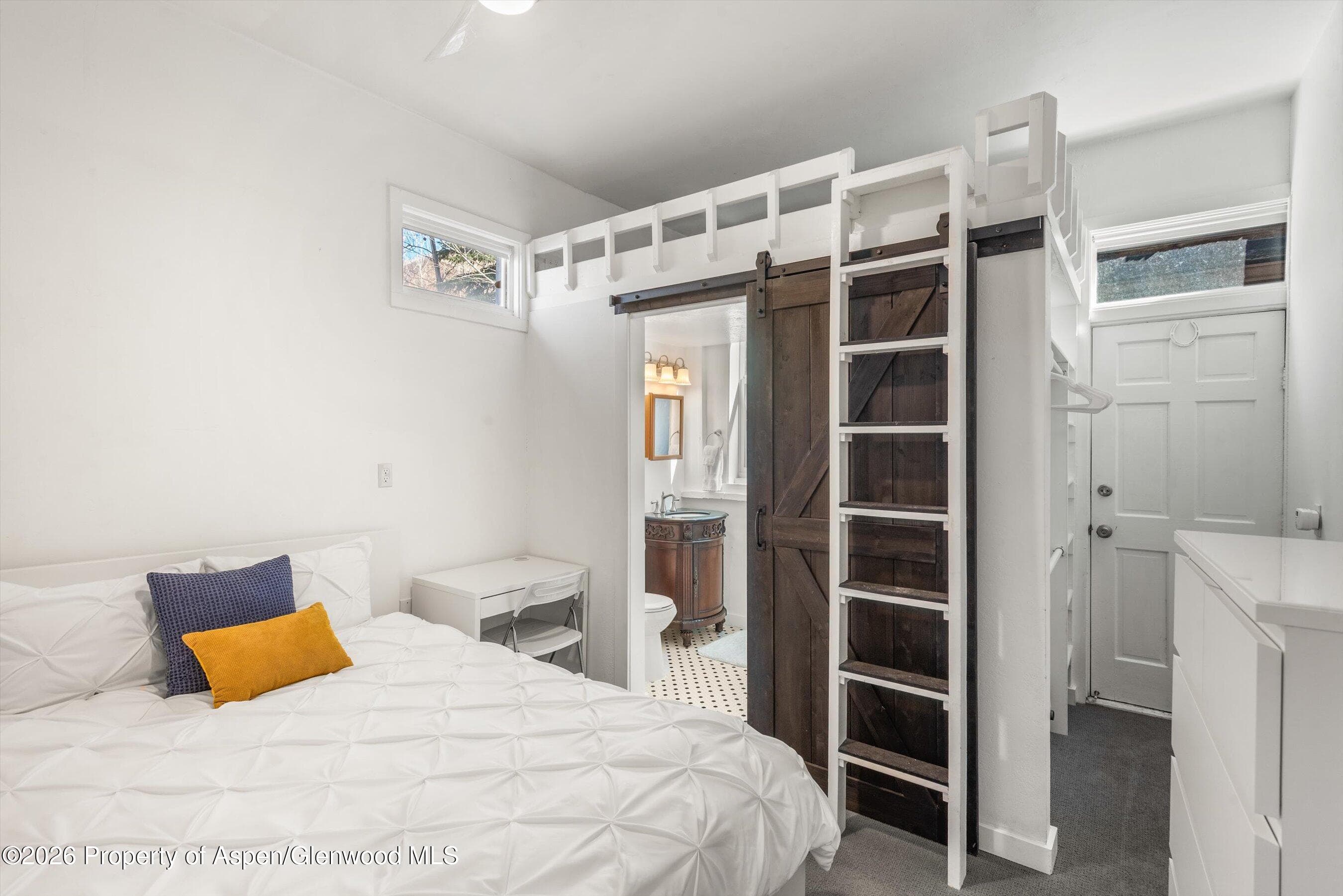560 Spruce Street, Aspen, CO 81611 - Photo 13