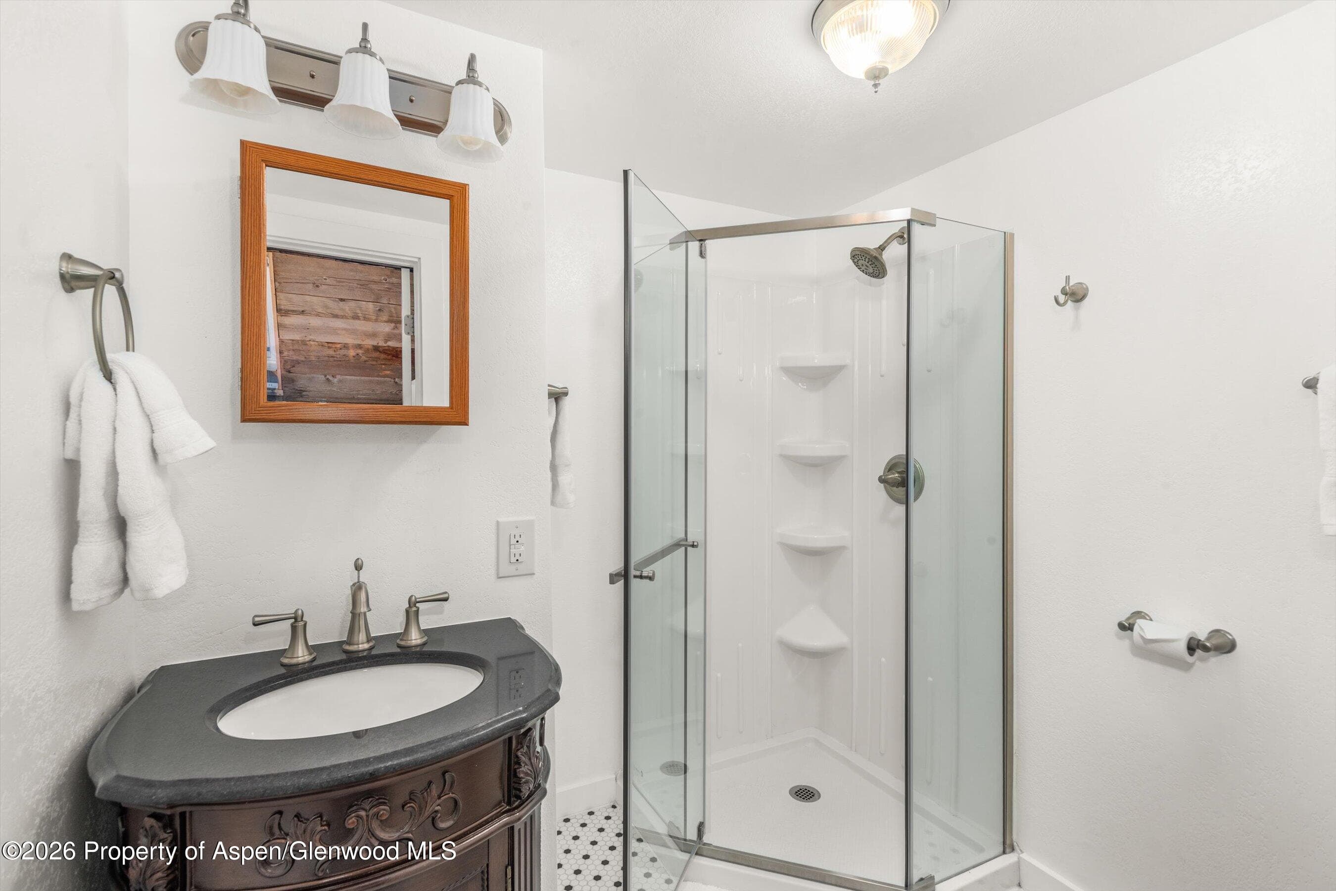 560 Spruce Street, Aspen, CO 81611 - Photo 16