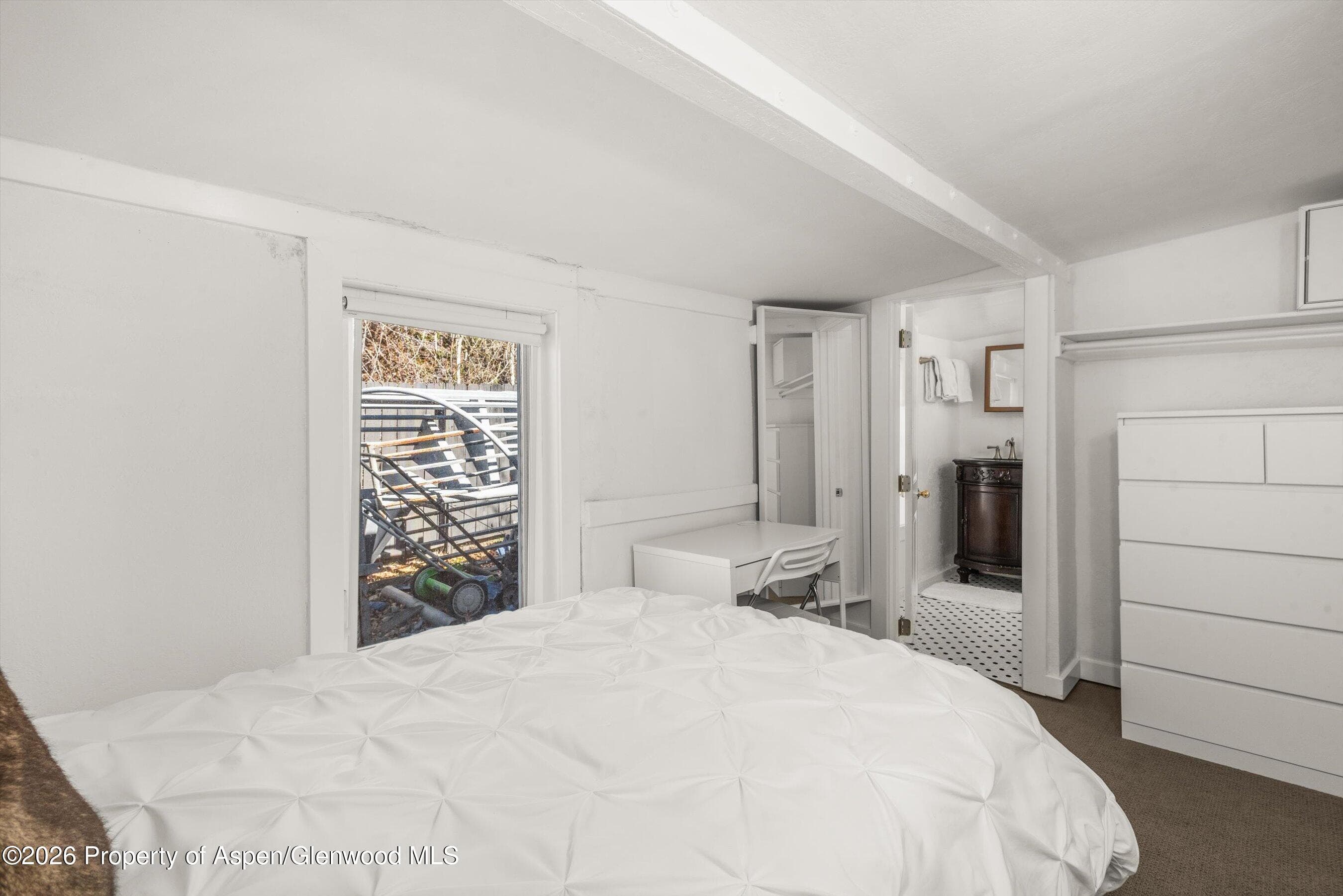 560 Spruce Street, Aspen, CO 81611 - Photo 17