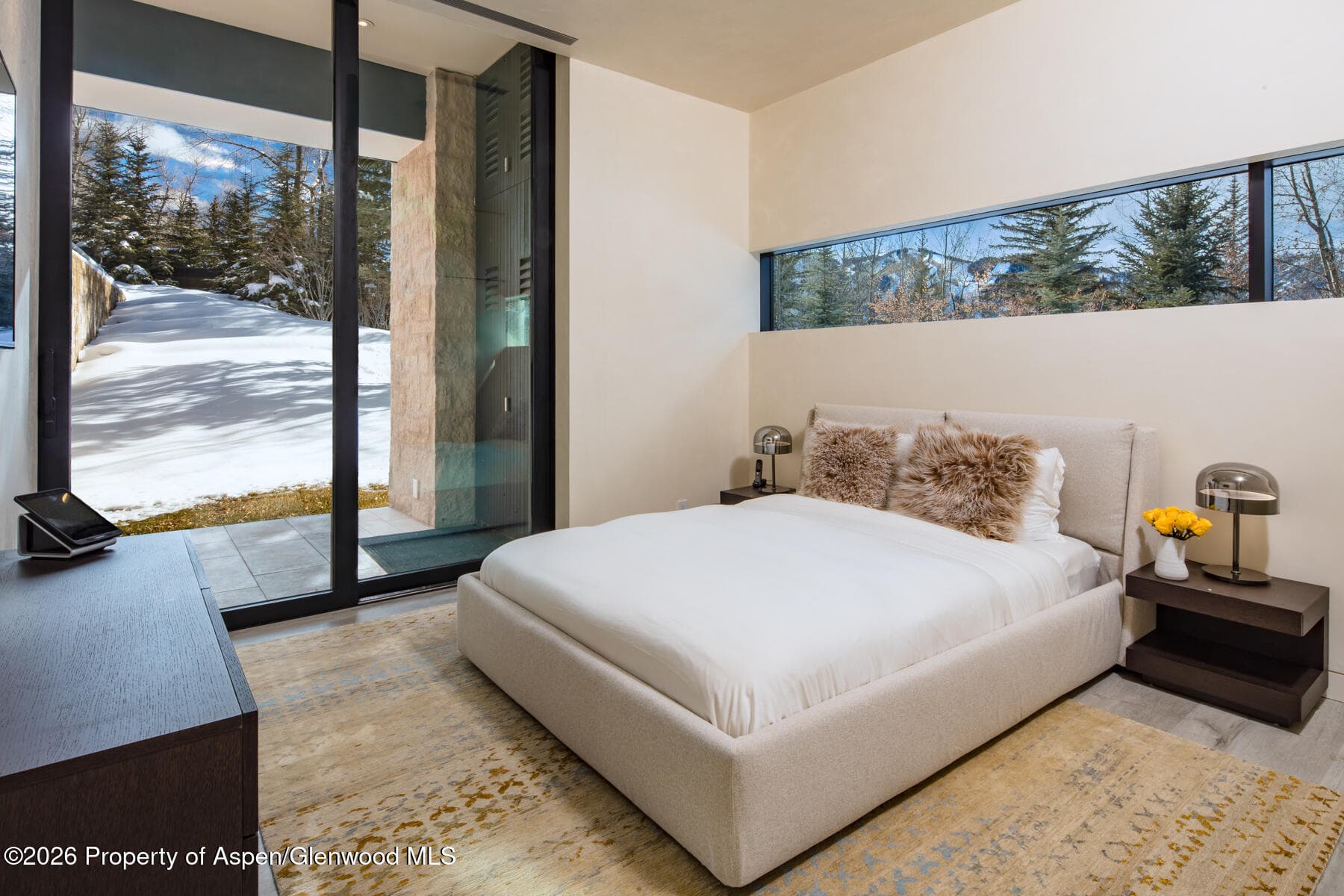 979 Red Mountain Road, Aspen, CO 81611 - Photo 15