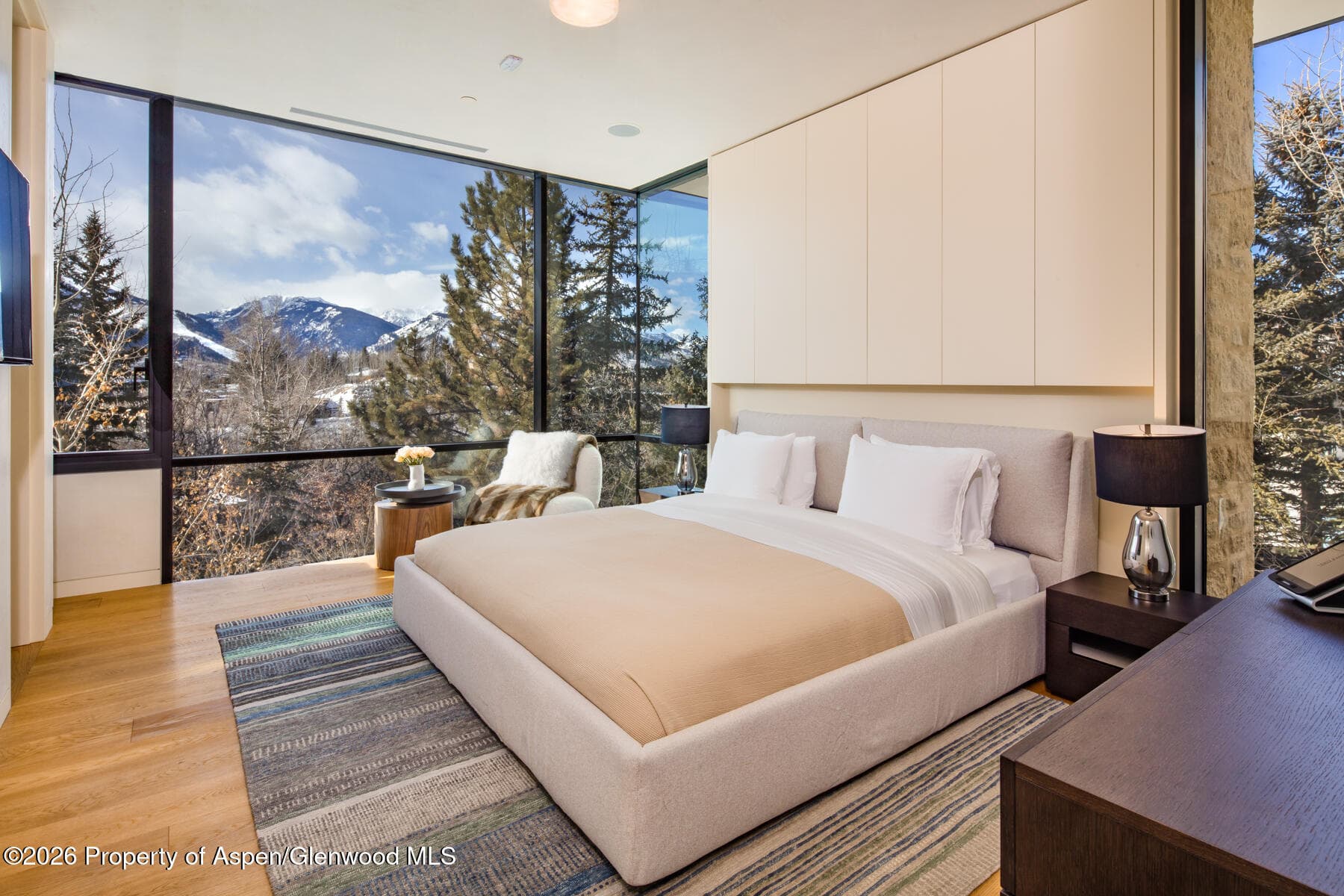 979 Red Mountain Road, Aspen, CO 81611 - Photo 12
