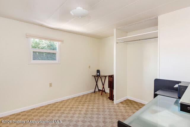 43 Bear Claw, Aspen, CO 81611 - Photo 18
