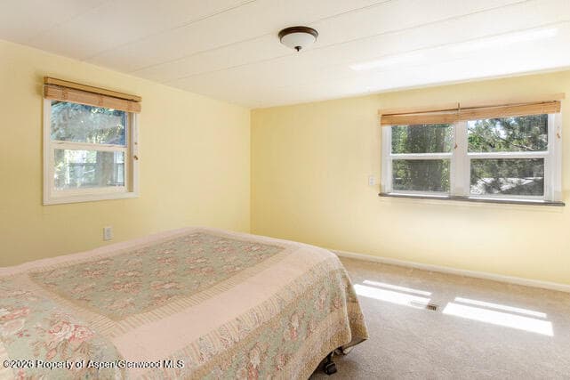 43 Bear Claw, Aspen, CO 81611 - Photo 24