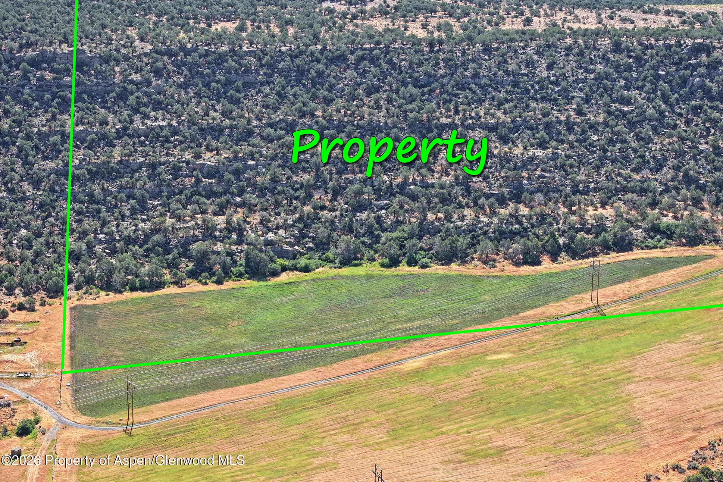 5402 Ke Road, Collbran, CO 81624 - Photo 16
