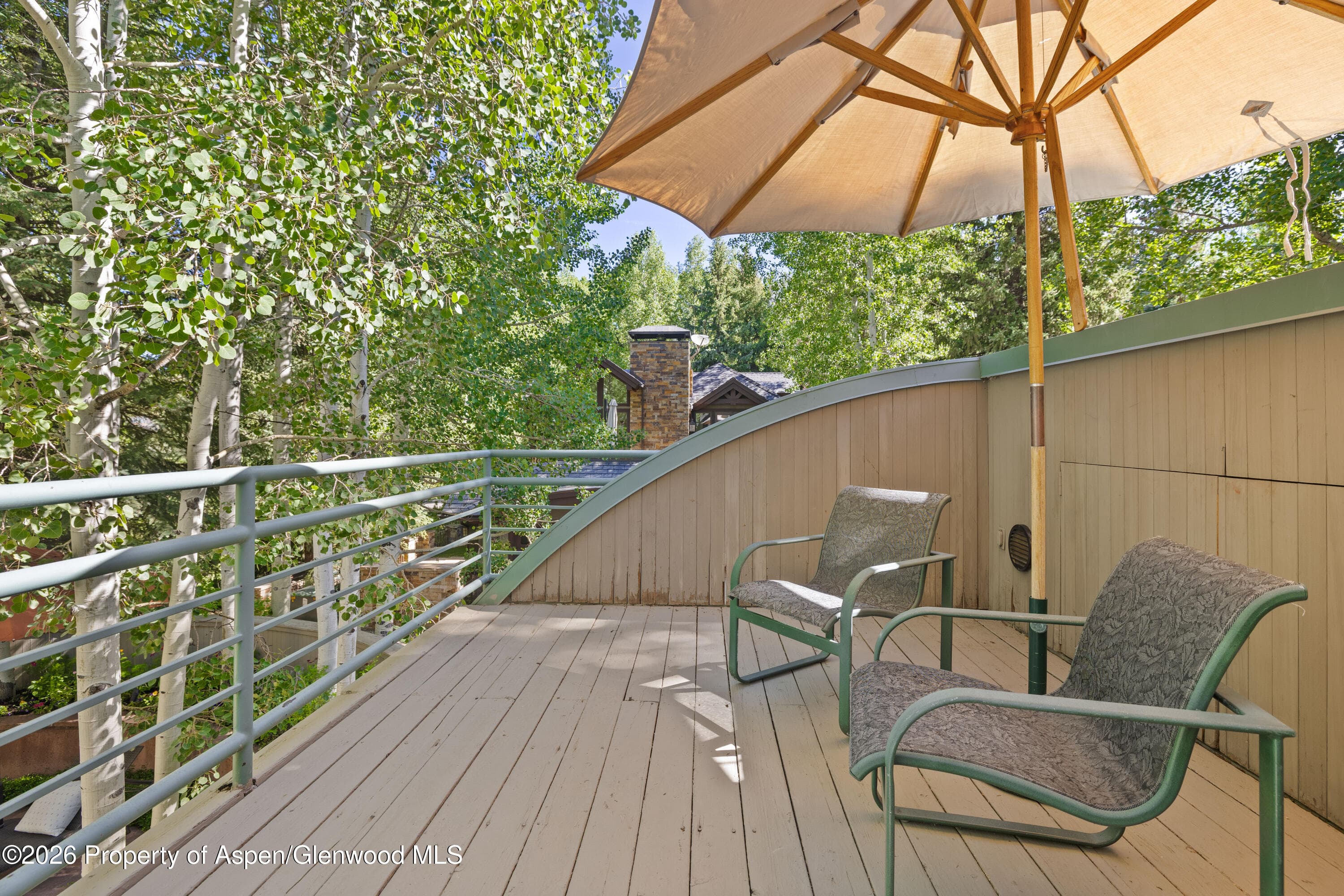 530 W Francis Street, Aspen, CO 81611 - Photo 44