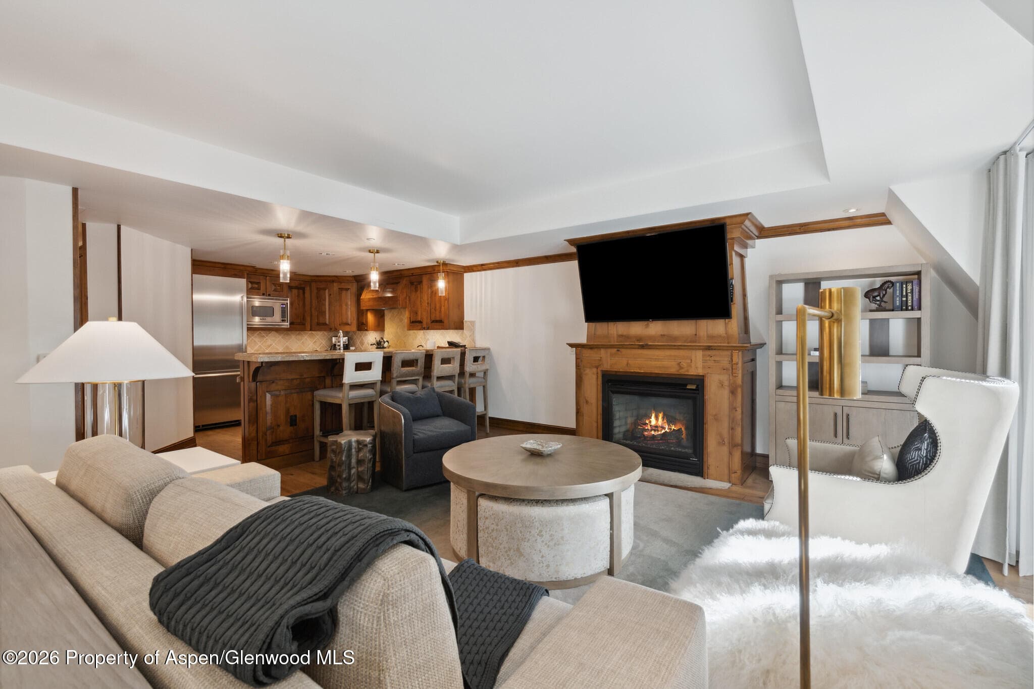 415 E Dean St, Unit 42, Wks 26 & 27, Aspen, CO 81611 - Photo 3