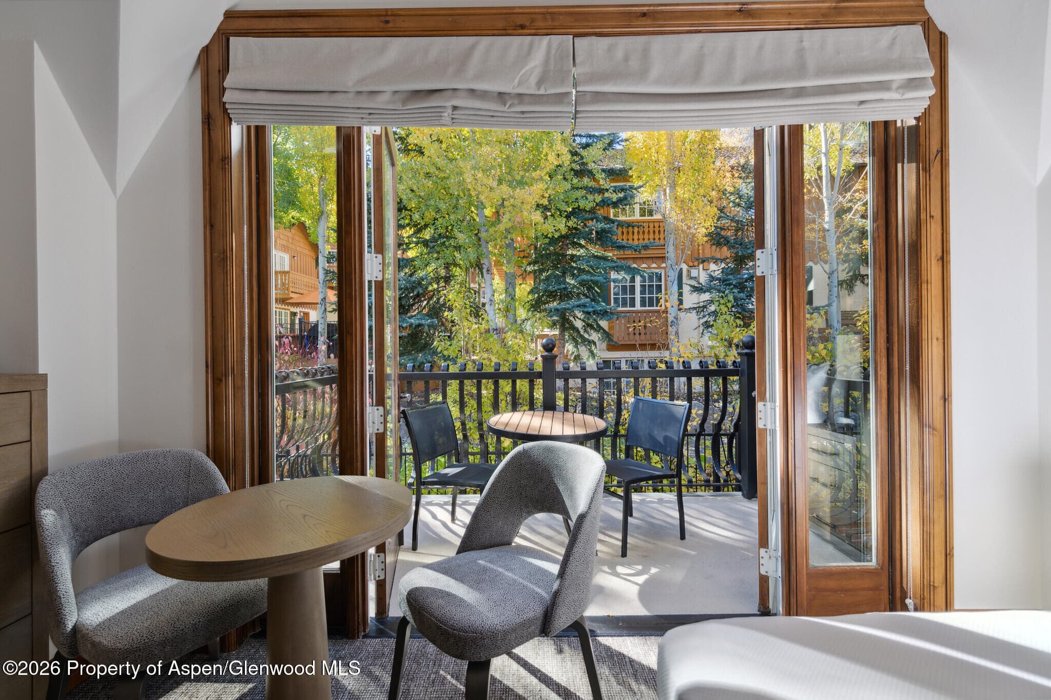415 E Dean St, Unit 42, Wks 26 & 27, Aspen, CO 81611 - Photo 17