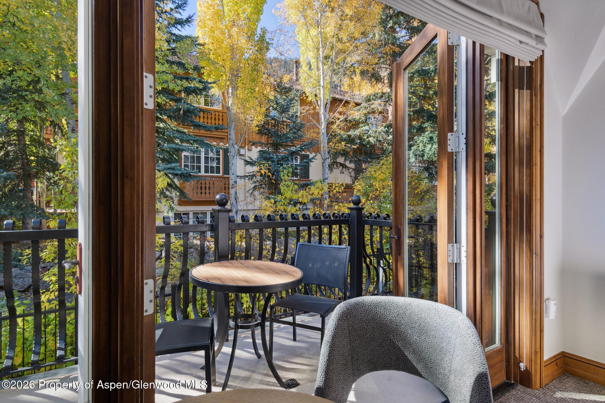 415 E Dean St, Unit 42, Wks 26 & 27, Aspen, CO 81611 - Photo 16