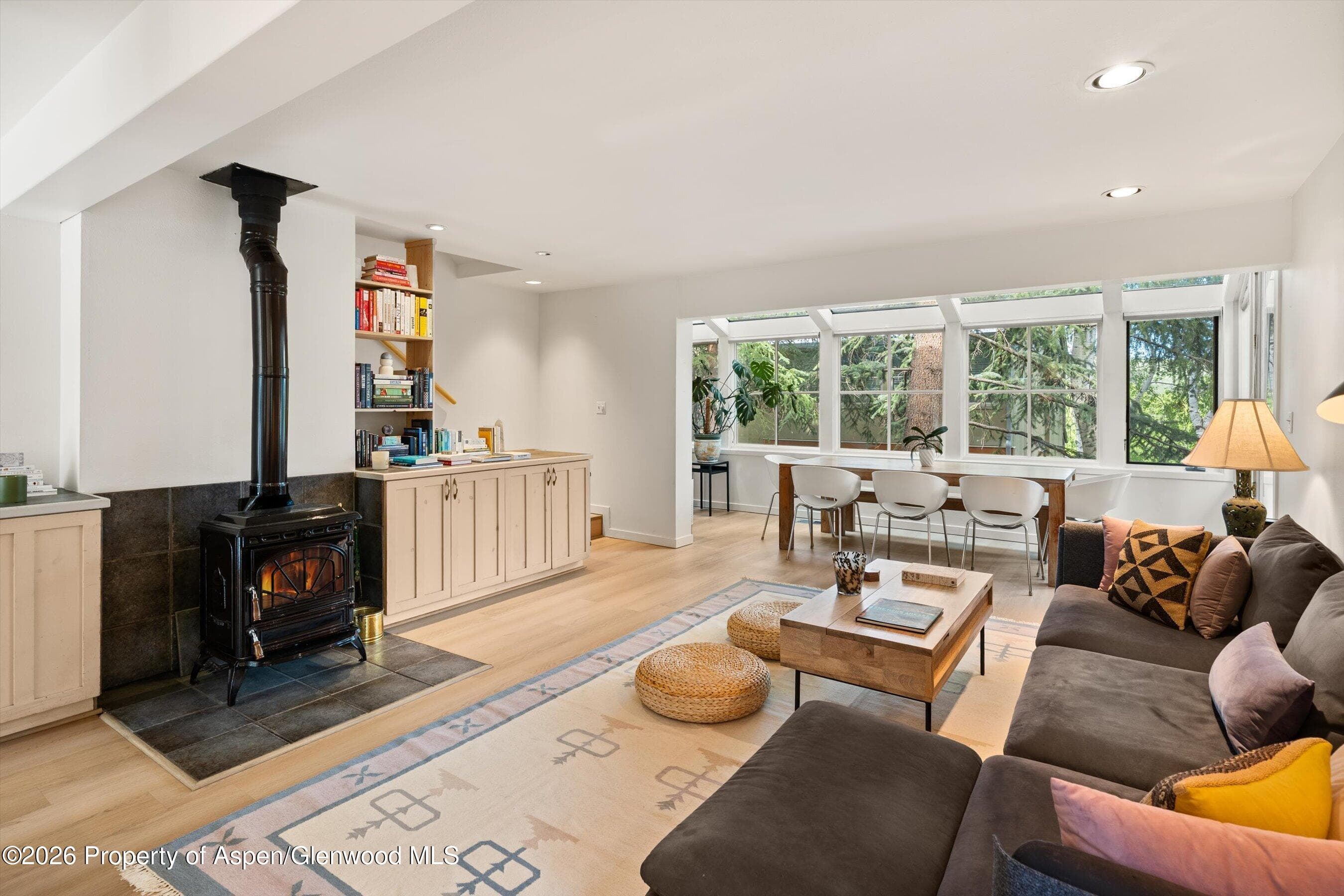 100 N Eigth Street 24, Aspen, CO 81611 - Photo 4