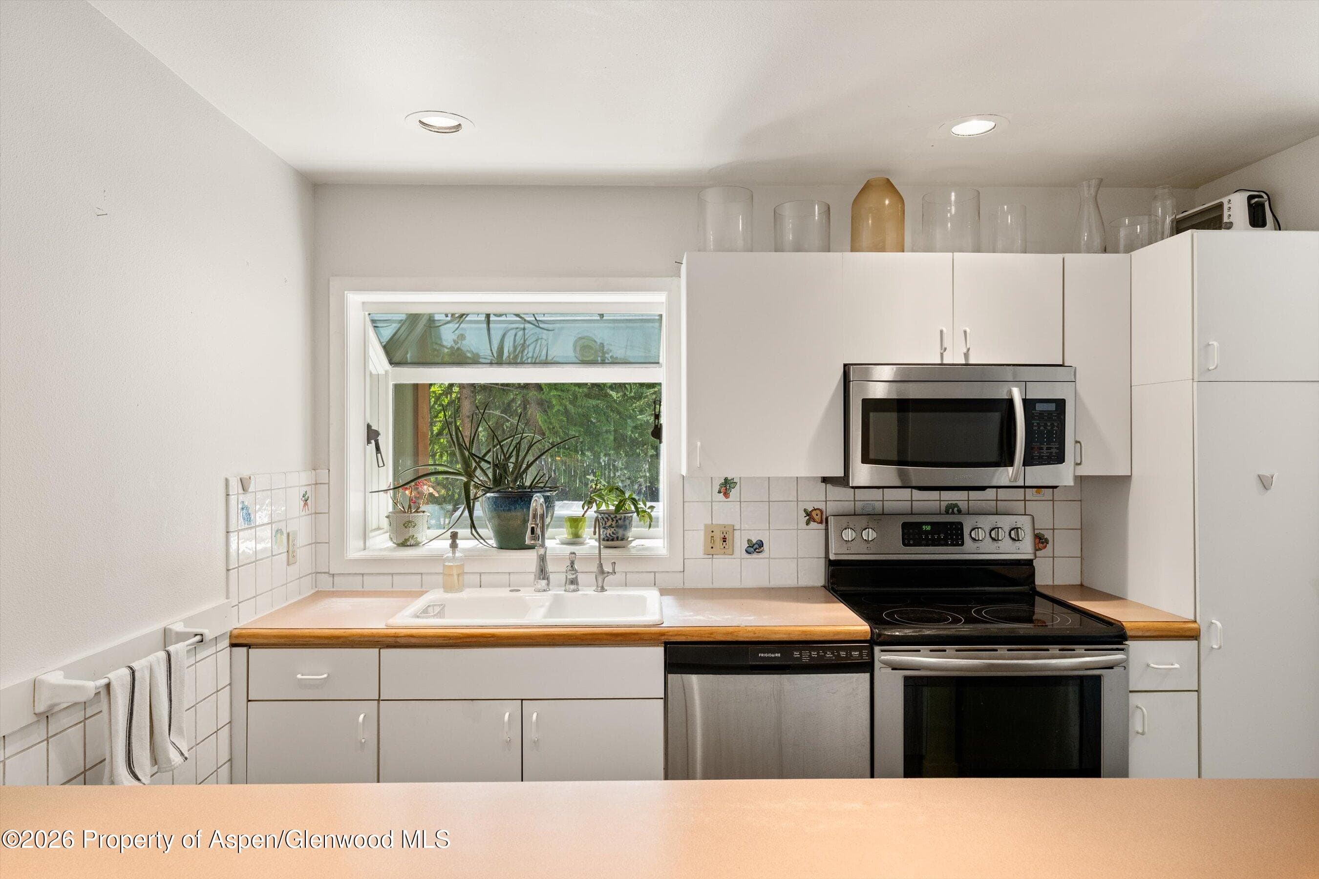 100 N Eigth Street 24, Aspen, CO 81611 - Photo 14