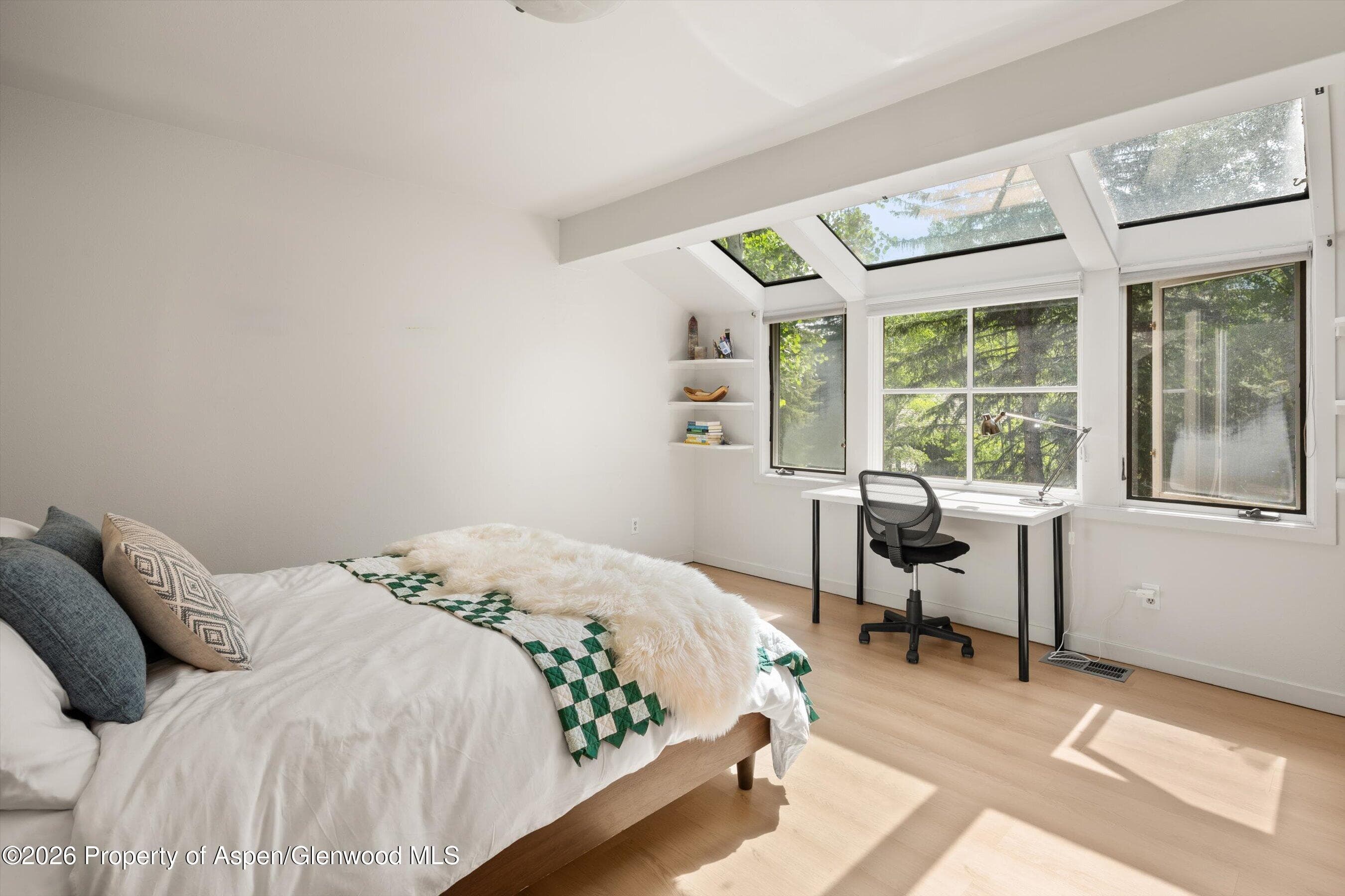 100 N Eigth Street 24, Aspen, CO 81611 - Photo 20