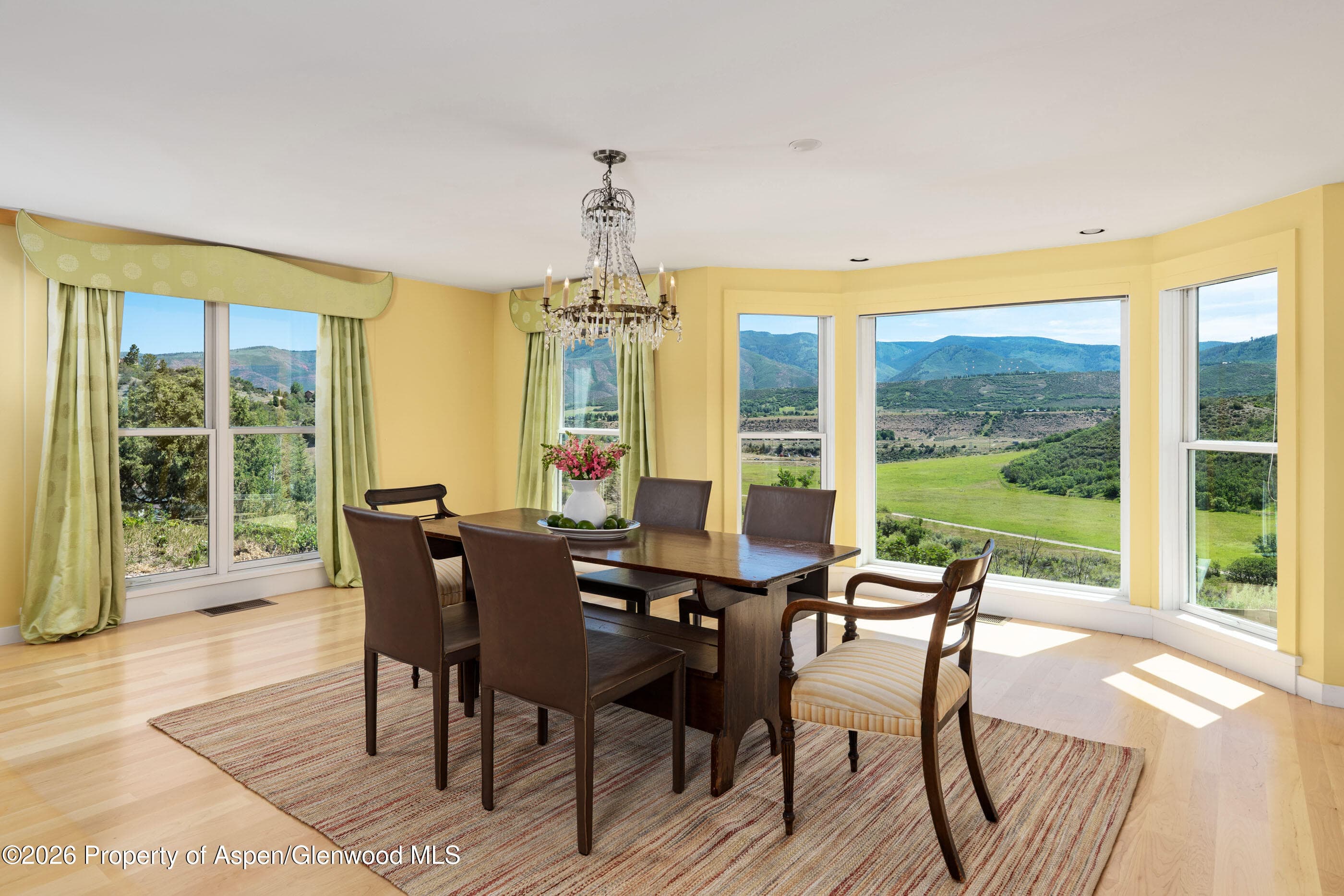 679 Brush Creek Road, Aspen, CO 81611 - Photo 44