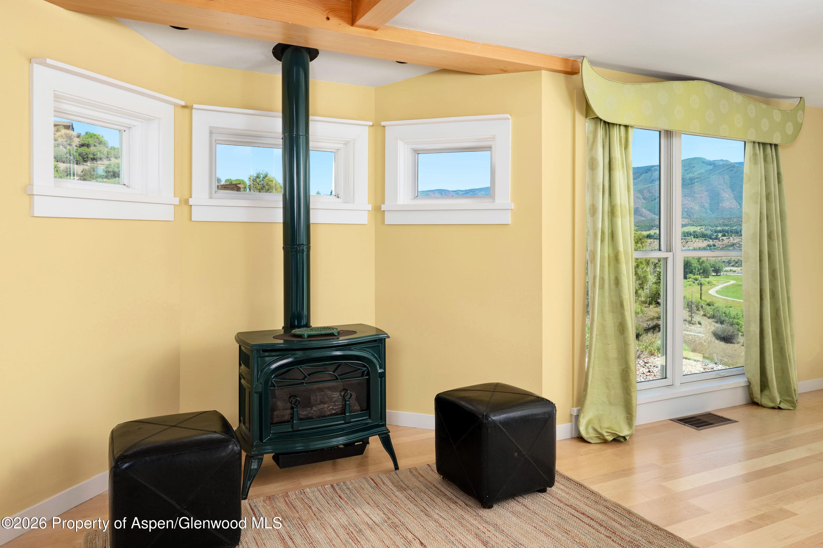 679 Brush Creek Road, Aspen, CO 81611 - Photo 45