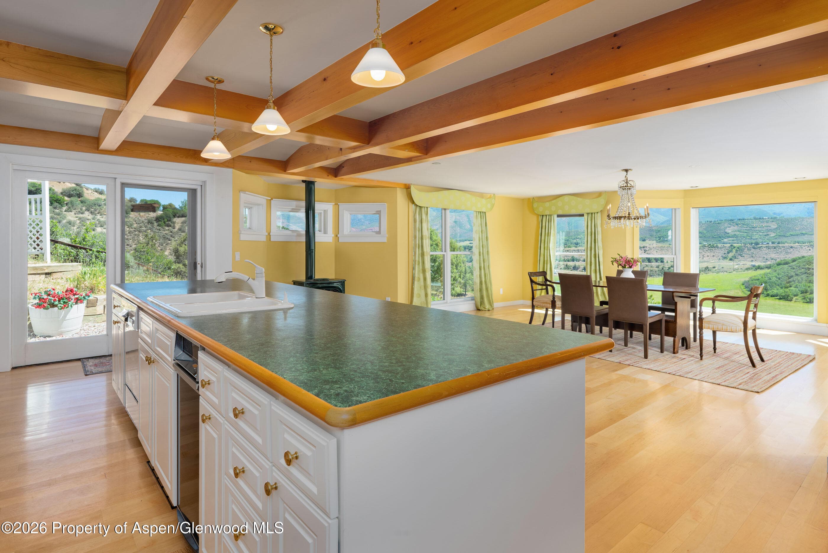 679 Brush Creek Road, Aspen, CO 81611 - Photo 47