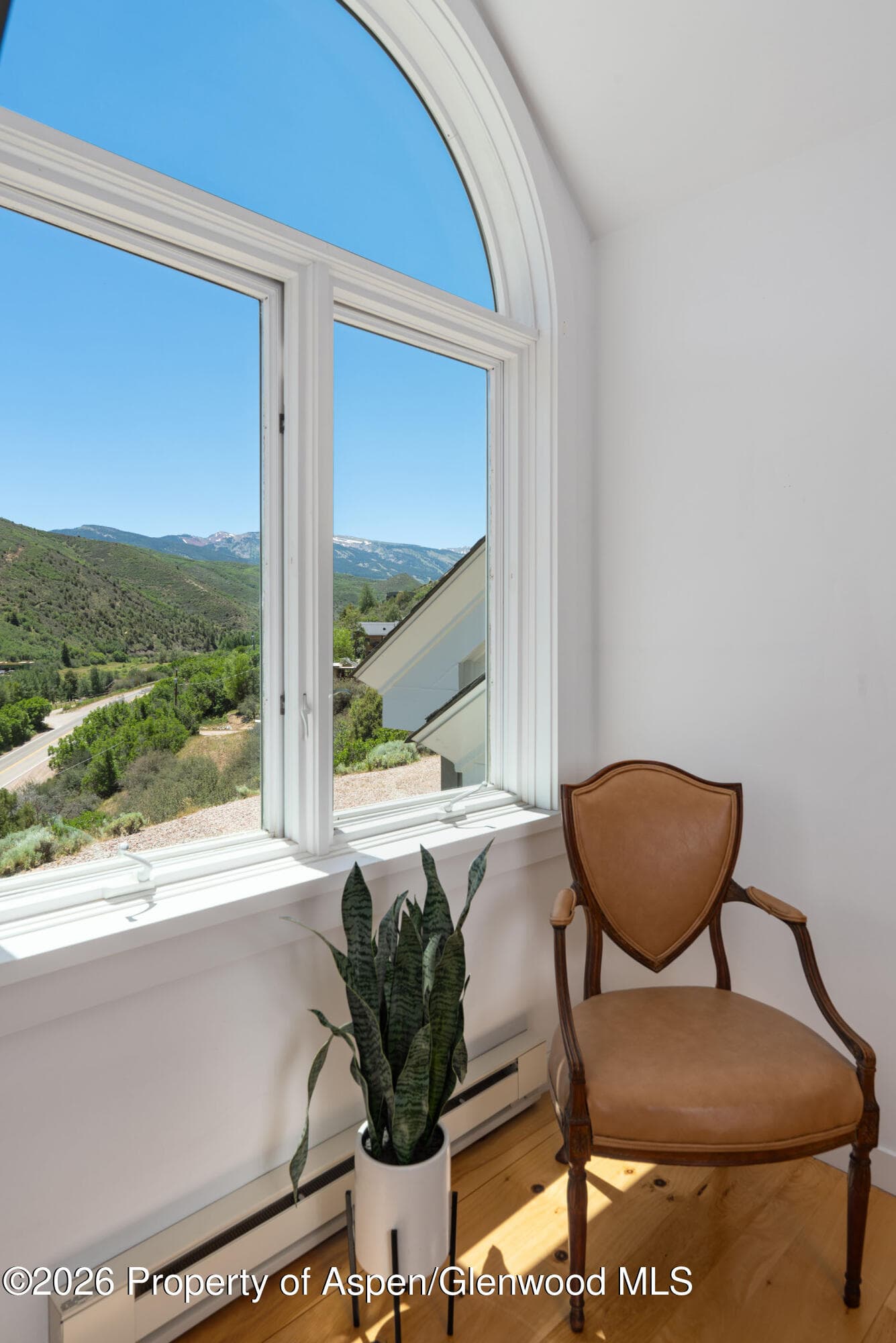 679 Brush Creek Road, Aspen, CO 81611 - Photo 20