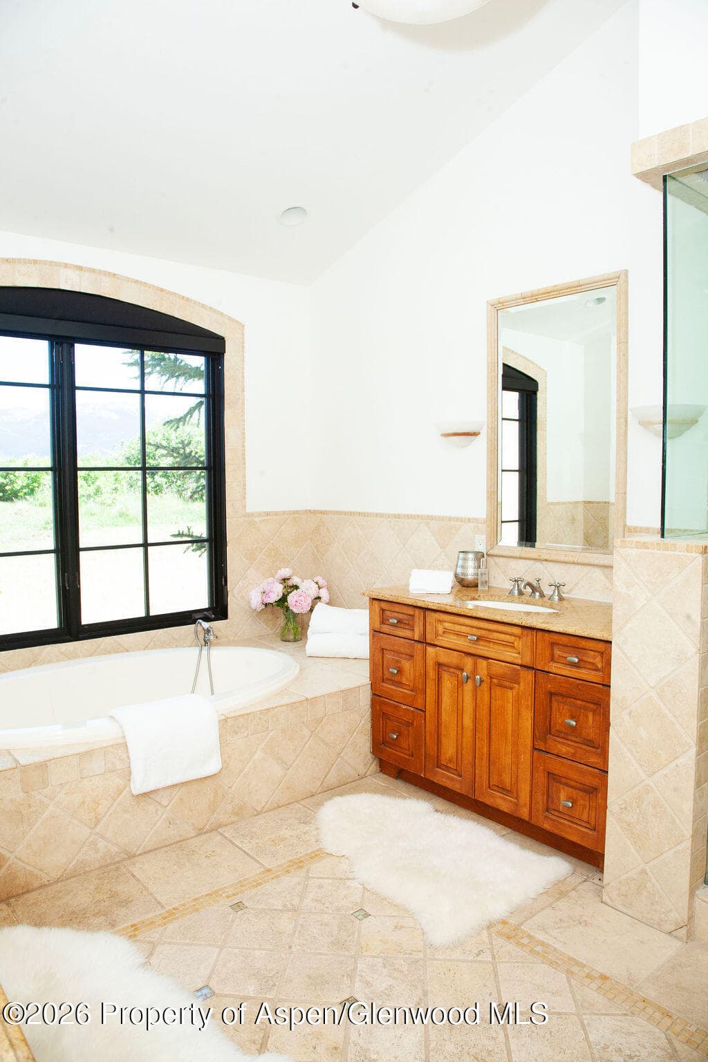 2908 Juniper Hill Drive, Aspen, CO 81611 - Photo 23