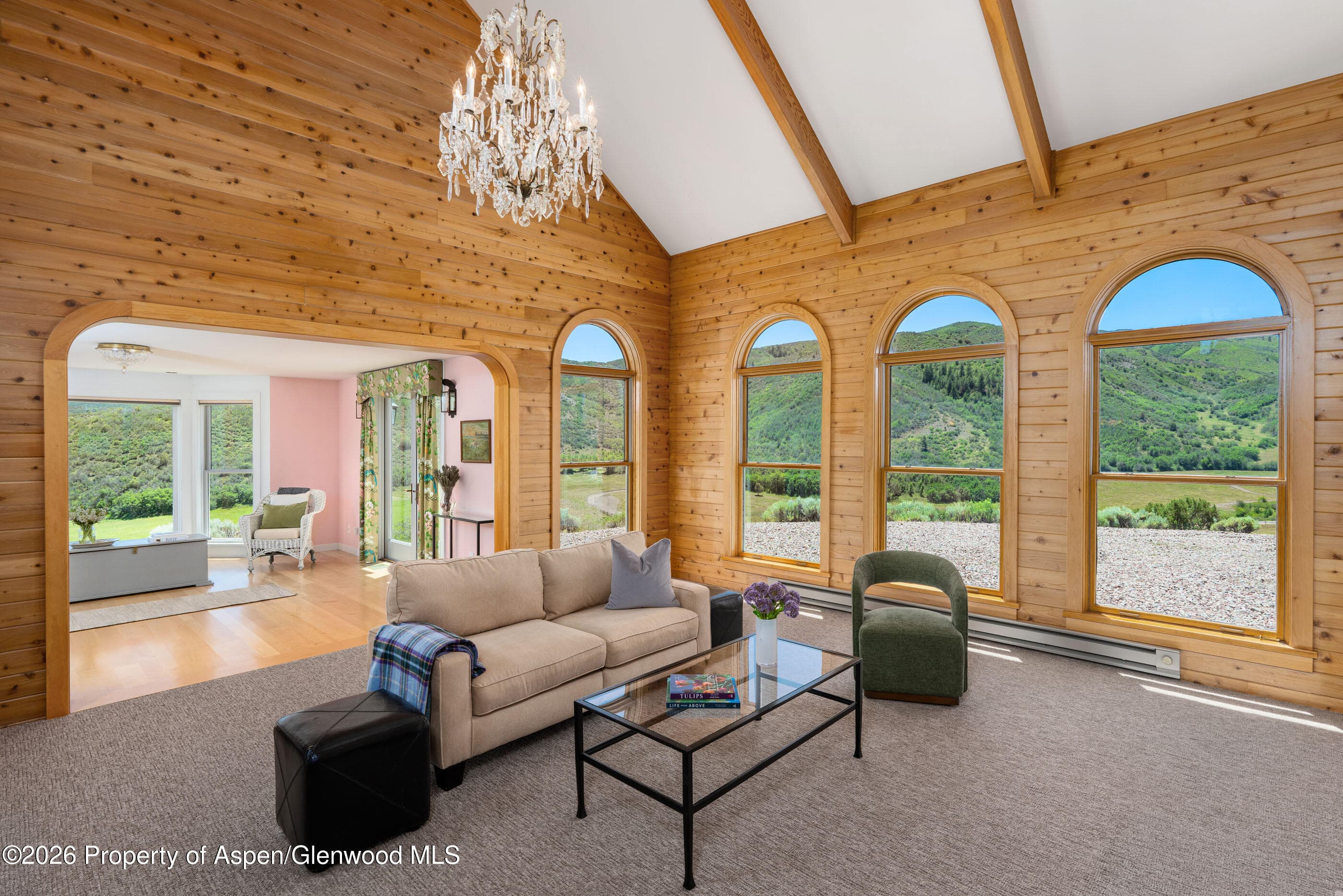 679 Brush Creek & Tbd Medicine Bow Road, Aspen, CO 81611 - Photo 53