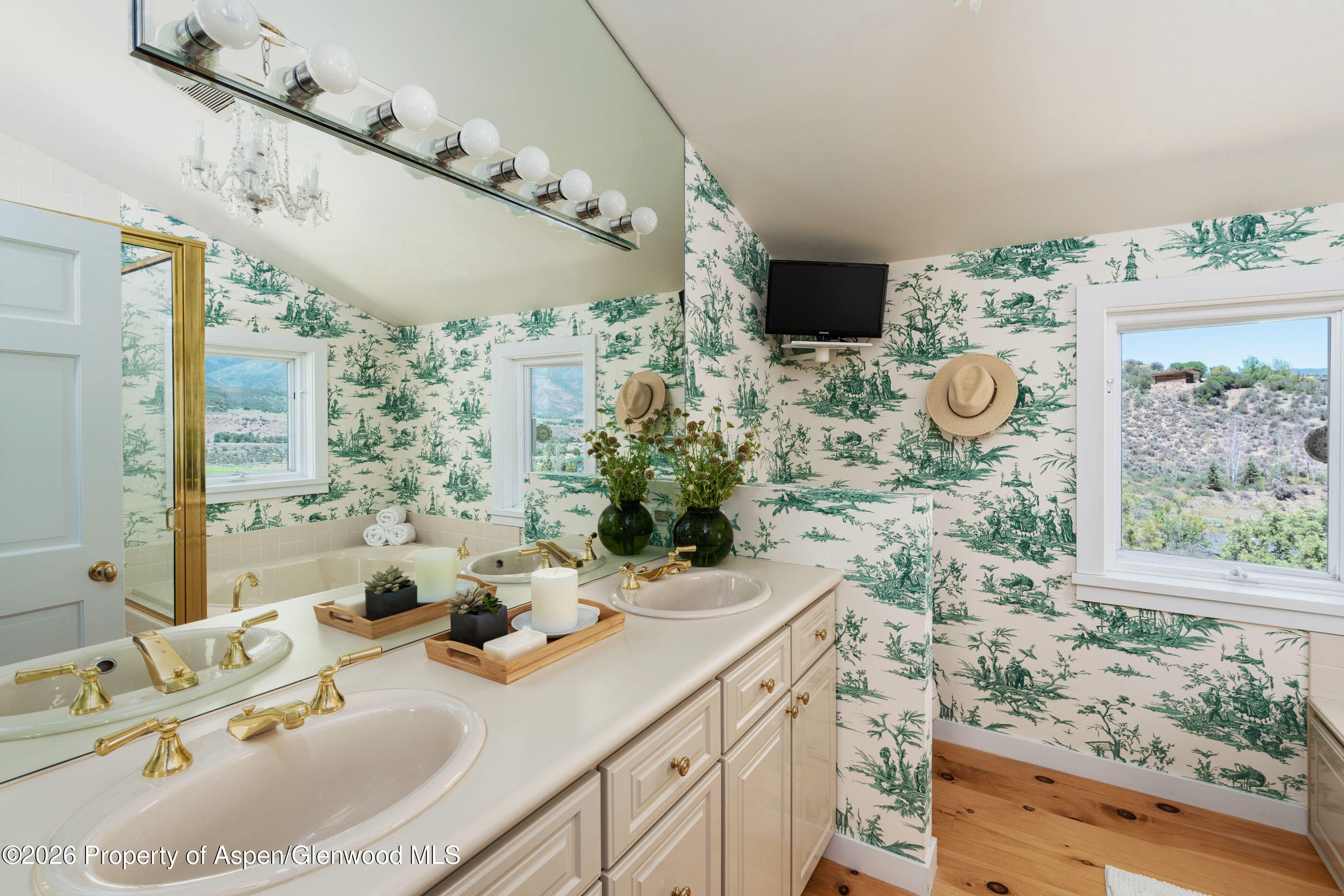 679 Brush Creek & Tbd Medicine Bow Road, Aspen, CO 81611 - Photo 33