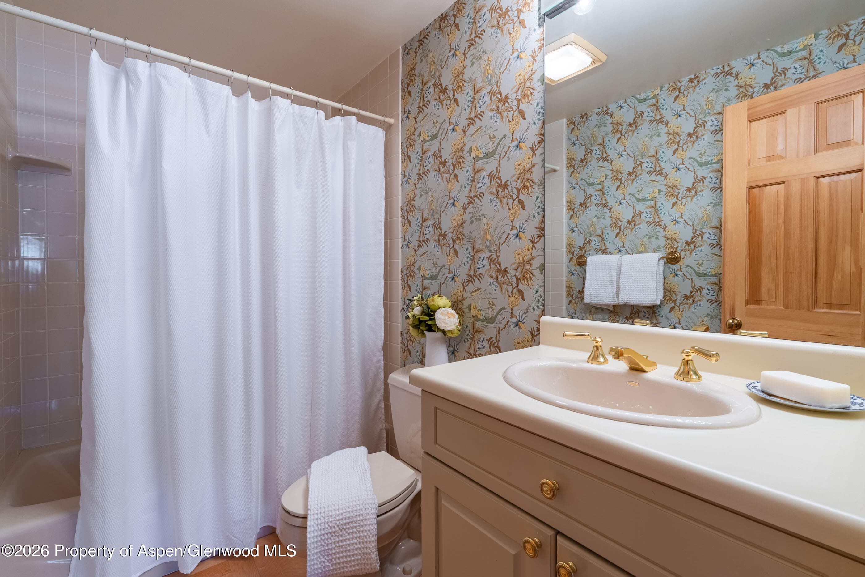 679 Brush Creek & Tbd Medicine Bow Road, Aspen, CO 81611 - Photo 43