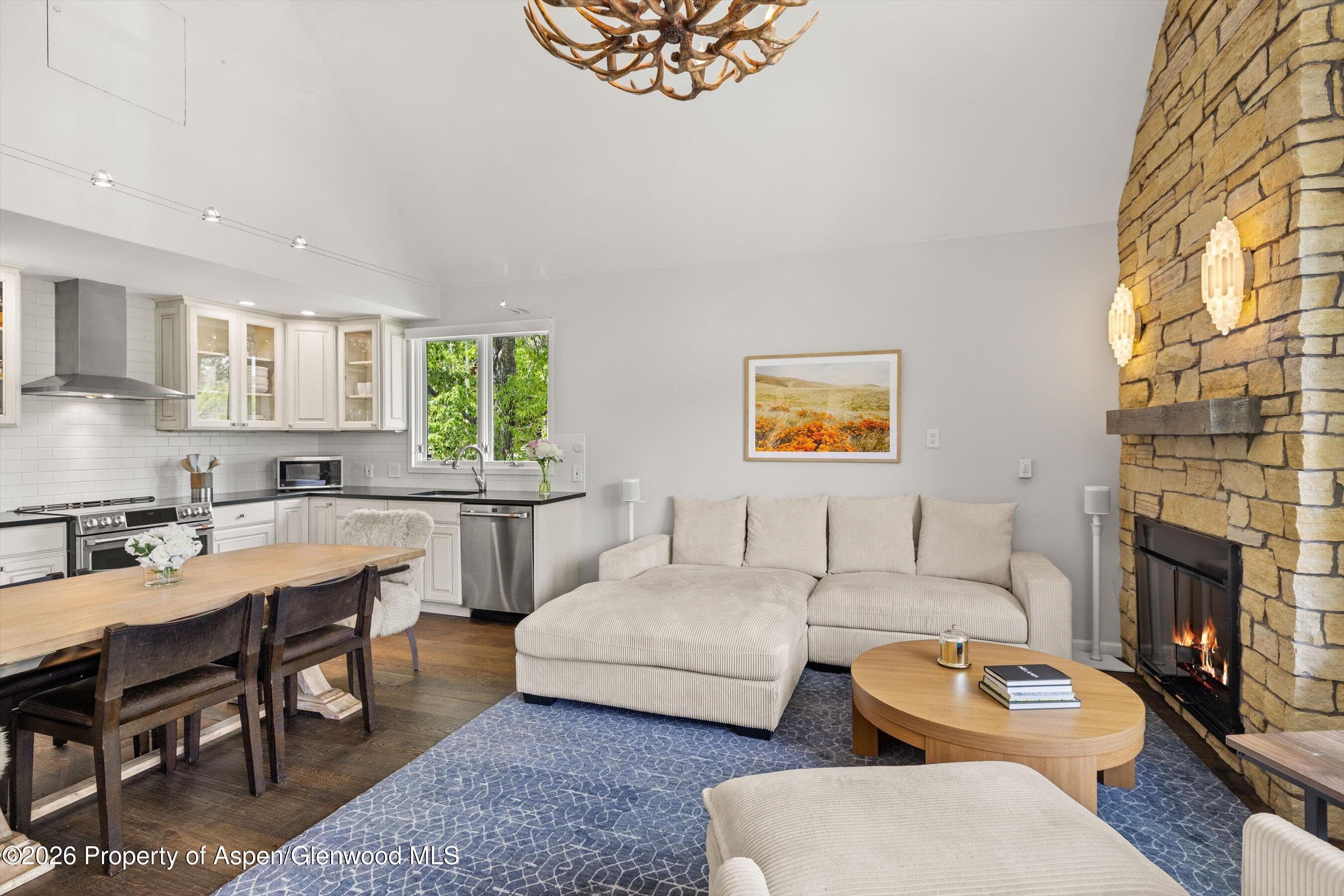800 S Mill Street 6a, Aspen, CO 81611 - Photo 3