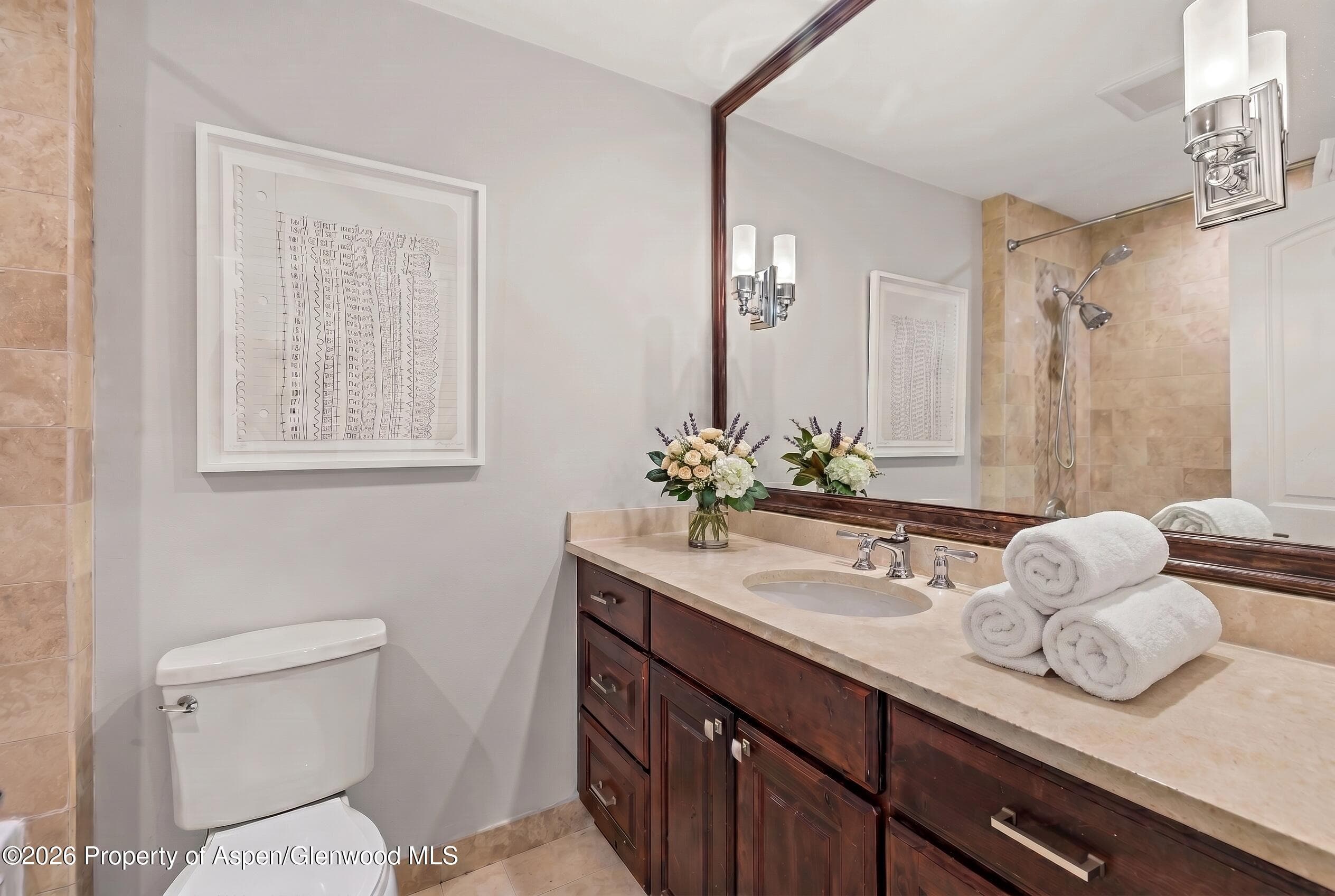 800 S Mill Street 6a, Aspen, CO 81611 - Photo 10