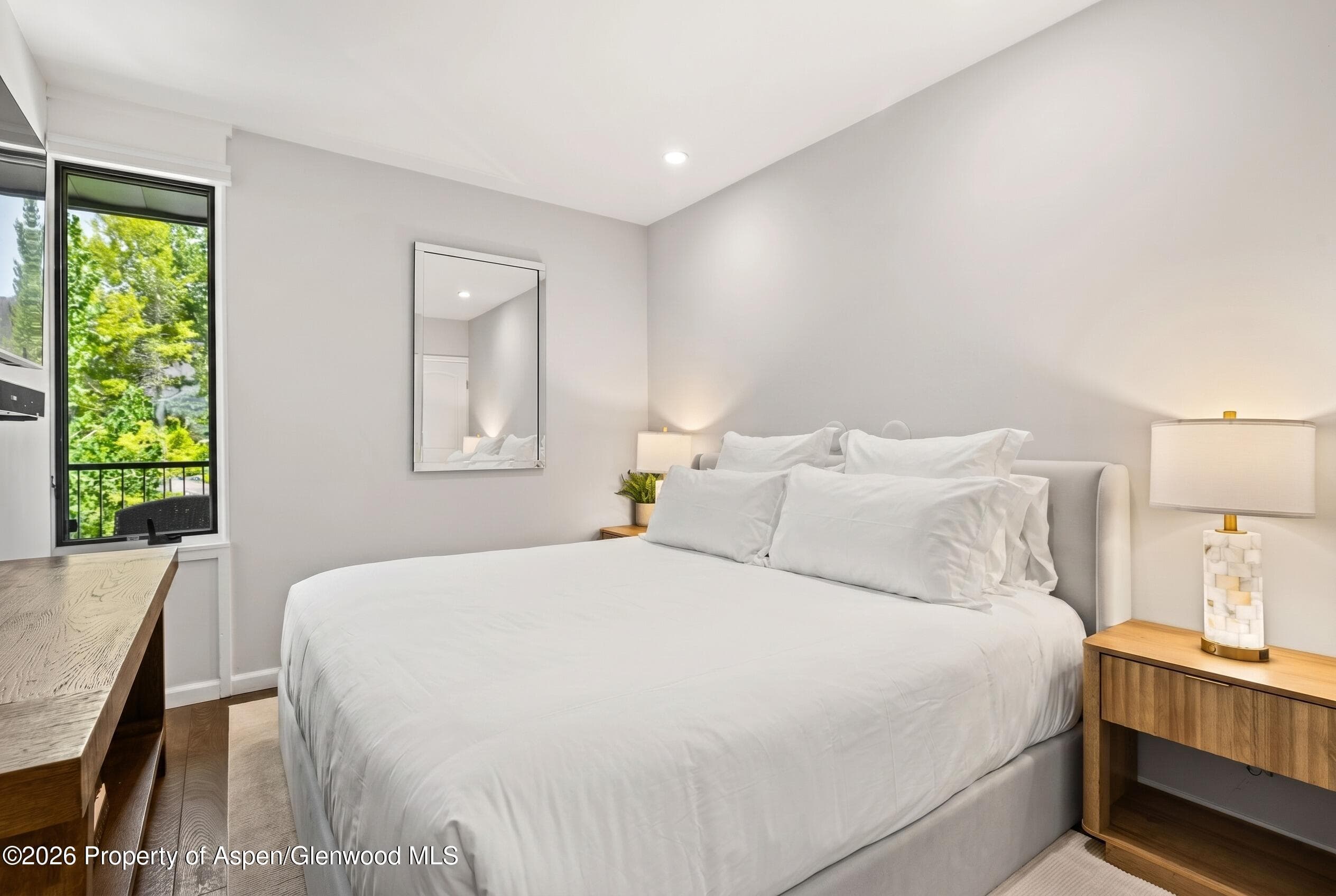 800 S Mill Street 6a, Aspen, CO 81611 - Photo 9