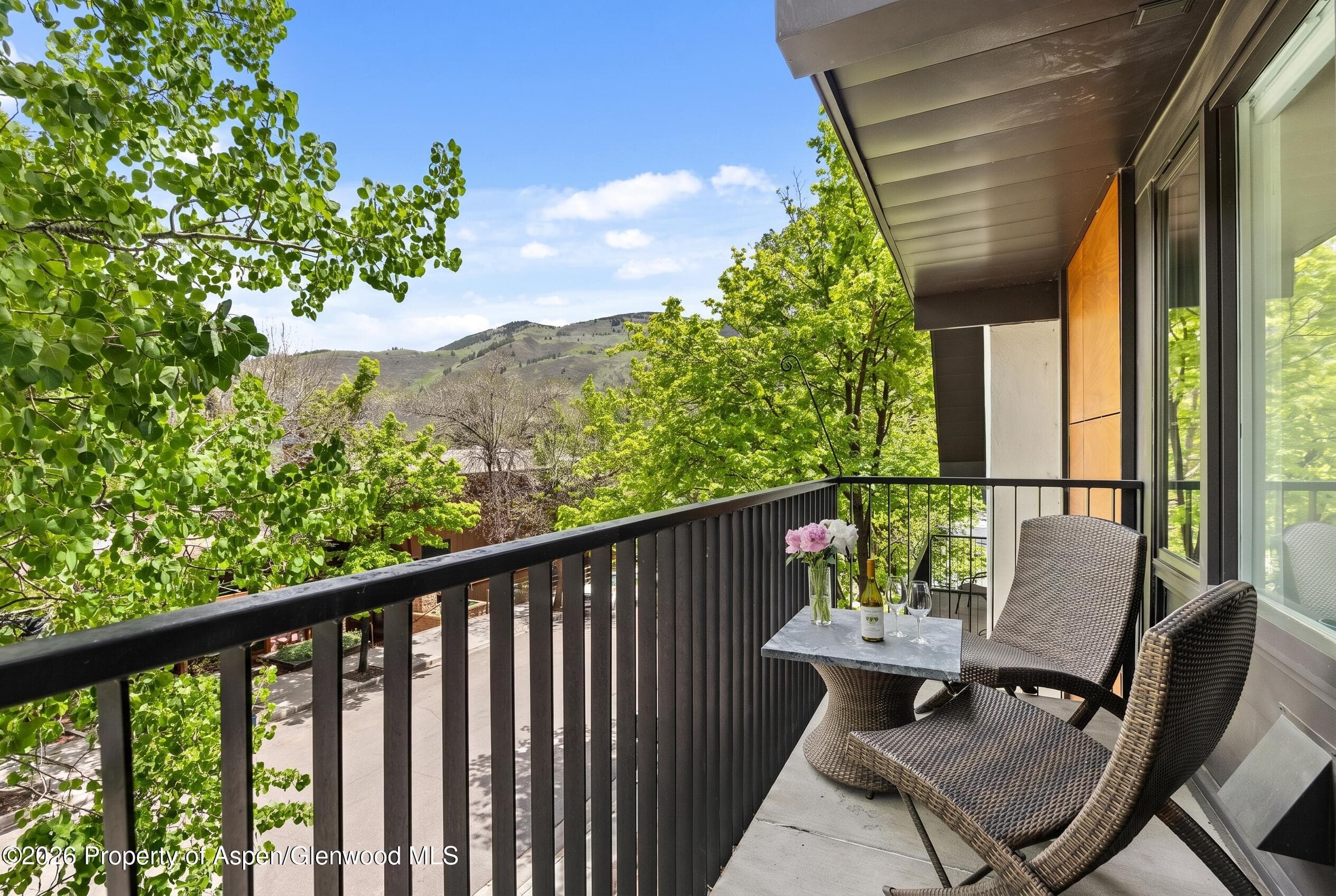 800 S Mill Street 6a, Aspen, CO 81611 - Photo 6