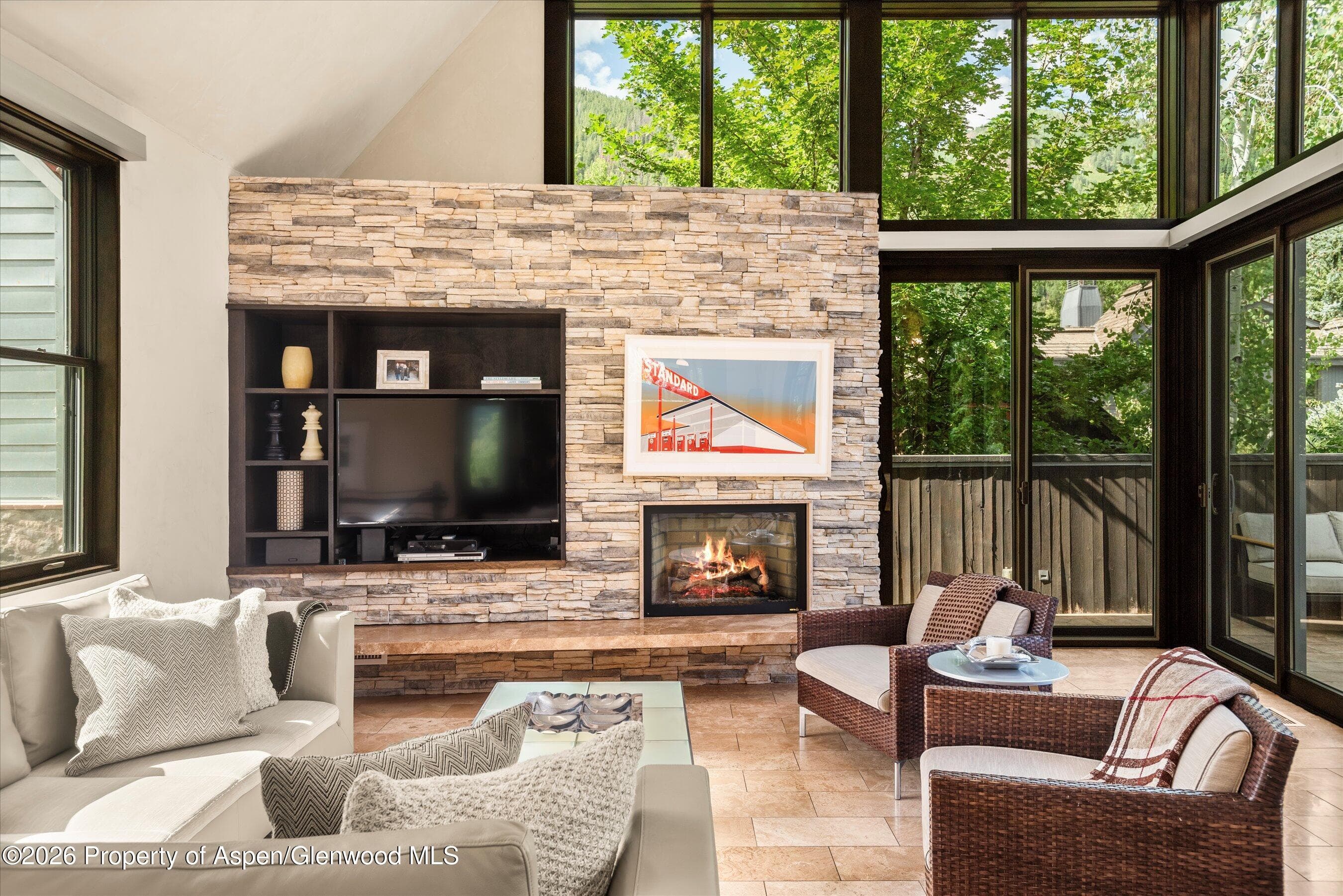 939 E Cooper Avenue B, Aspen, CO 81611 - Photo 4