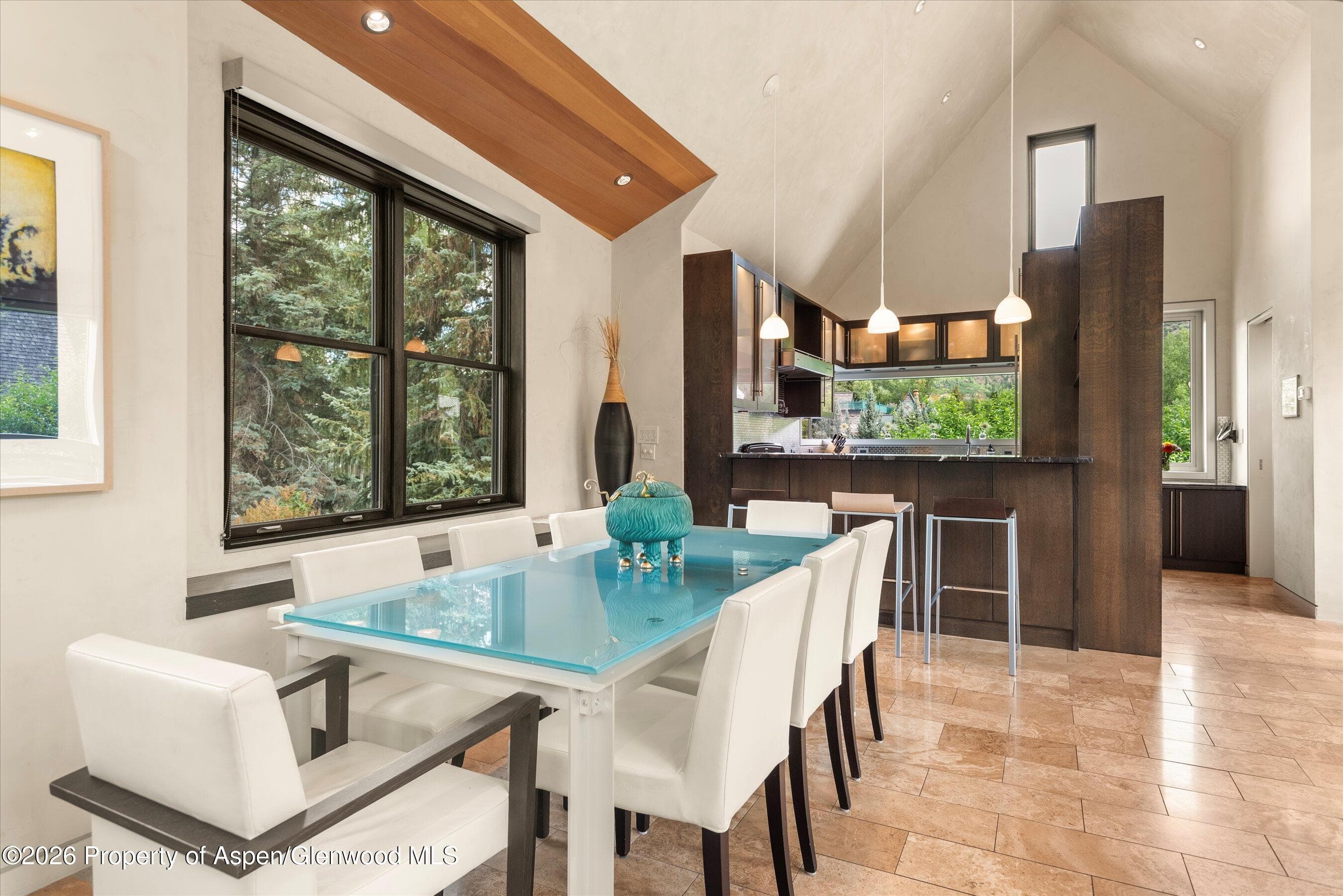 939 E Cooper Avenue B, Aspen, CO 81611 - Photo 6