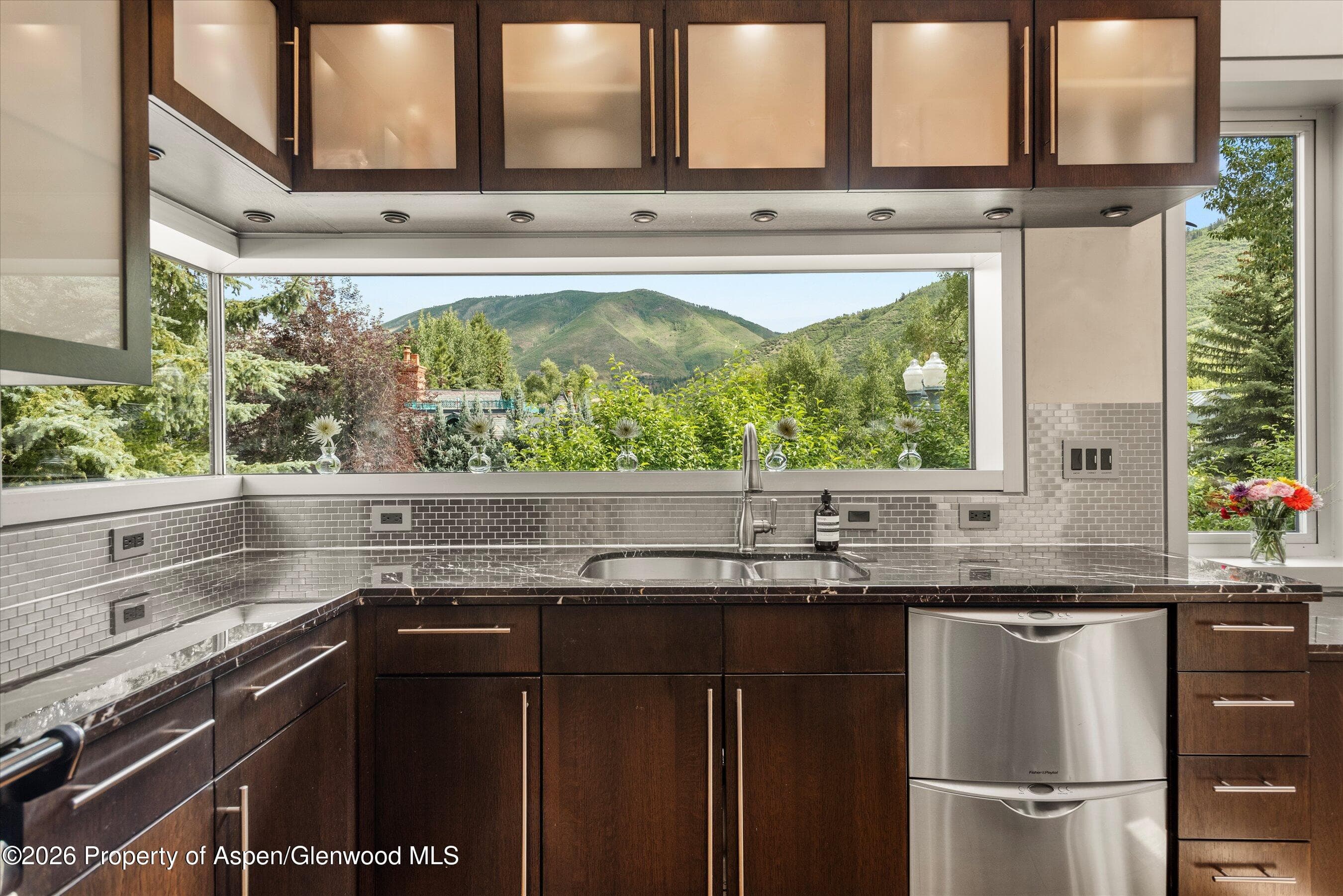 939 E Cooper Avenue B, Aspen, CO 81611 - Photo 8