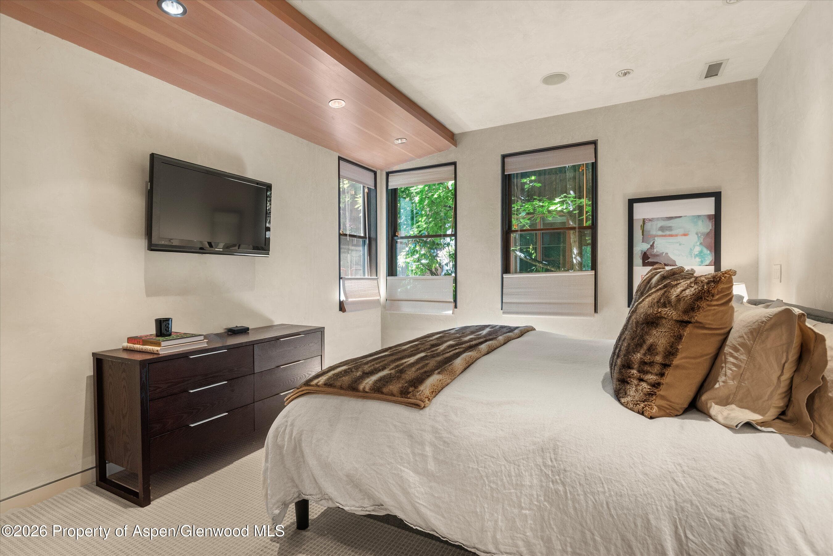 939 E Cooper Avenue B, Aspen, CO 81611 - Photo 13