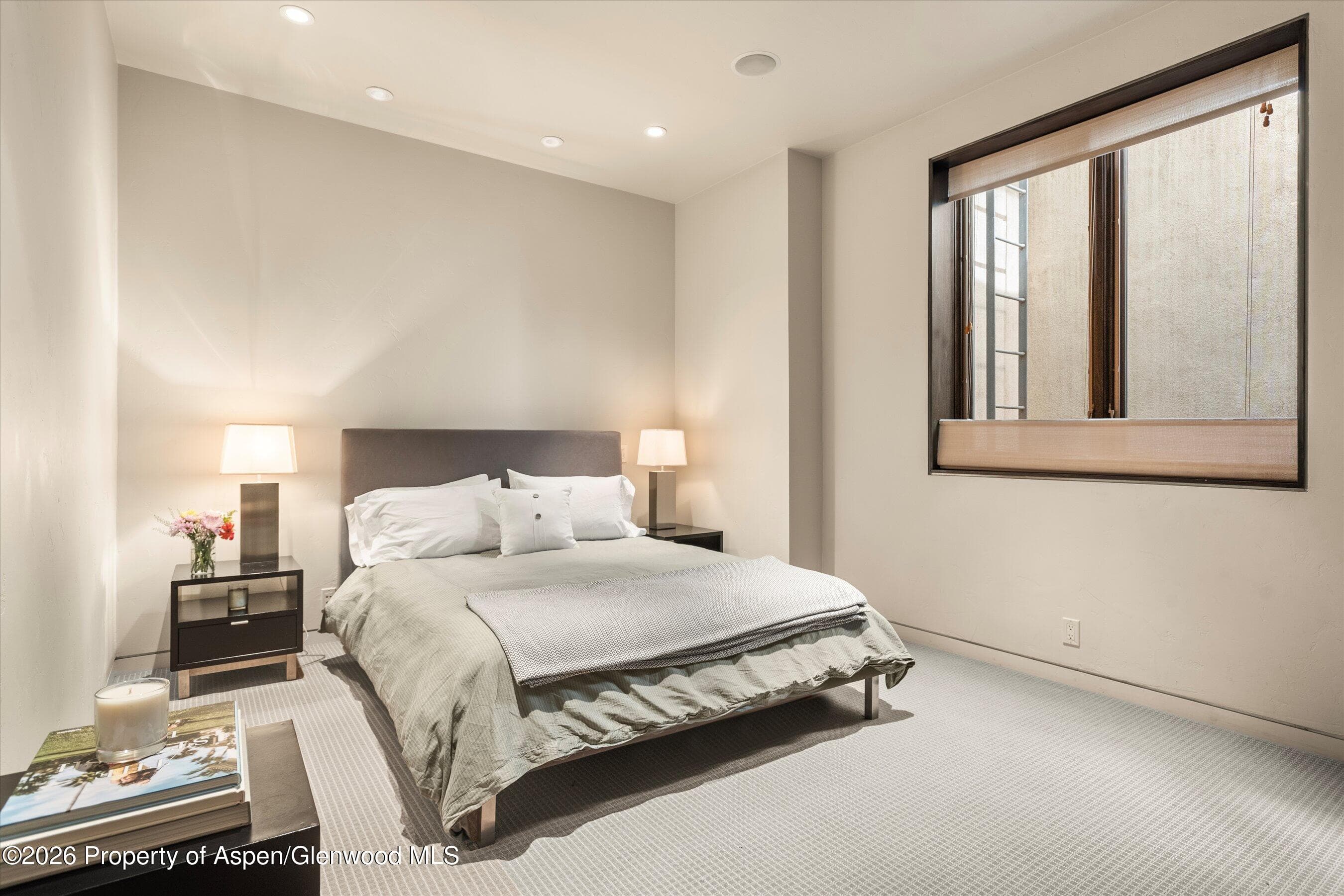 939 E Cooper Avenue B, Aspen, CO 81611 - Photo 16