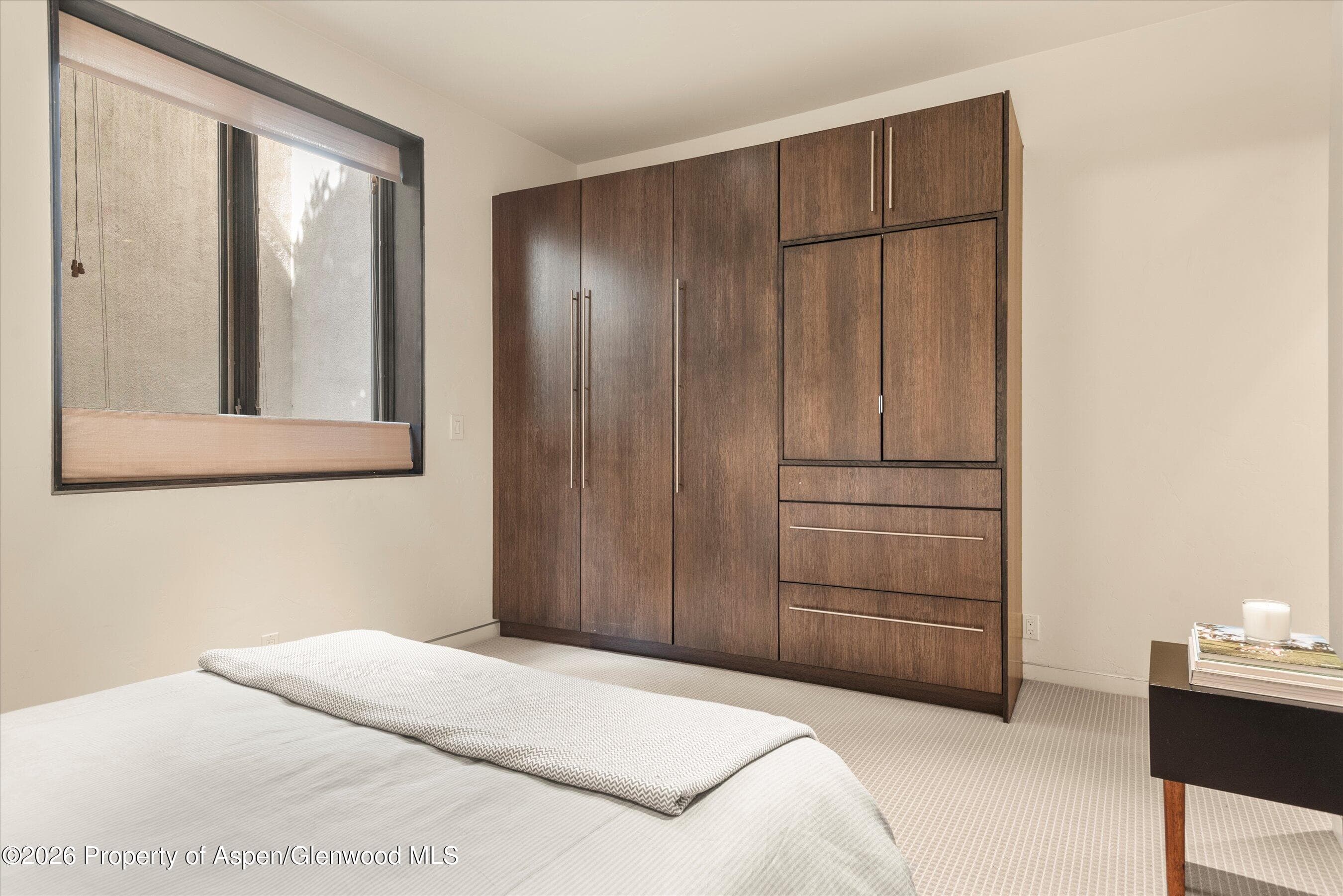 939 E Cooper Avenue B, Aspen, CO 81611 - Photo 17