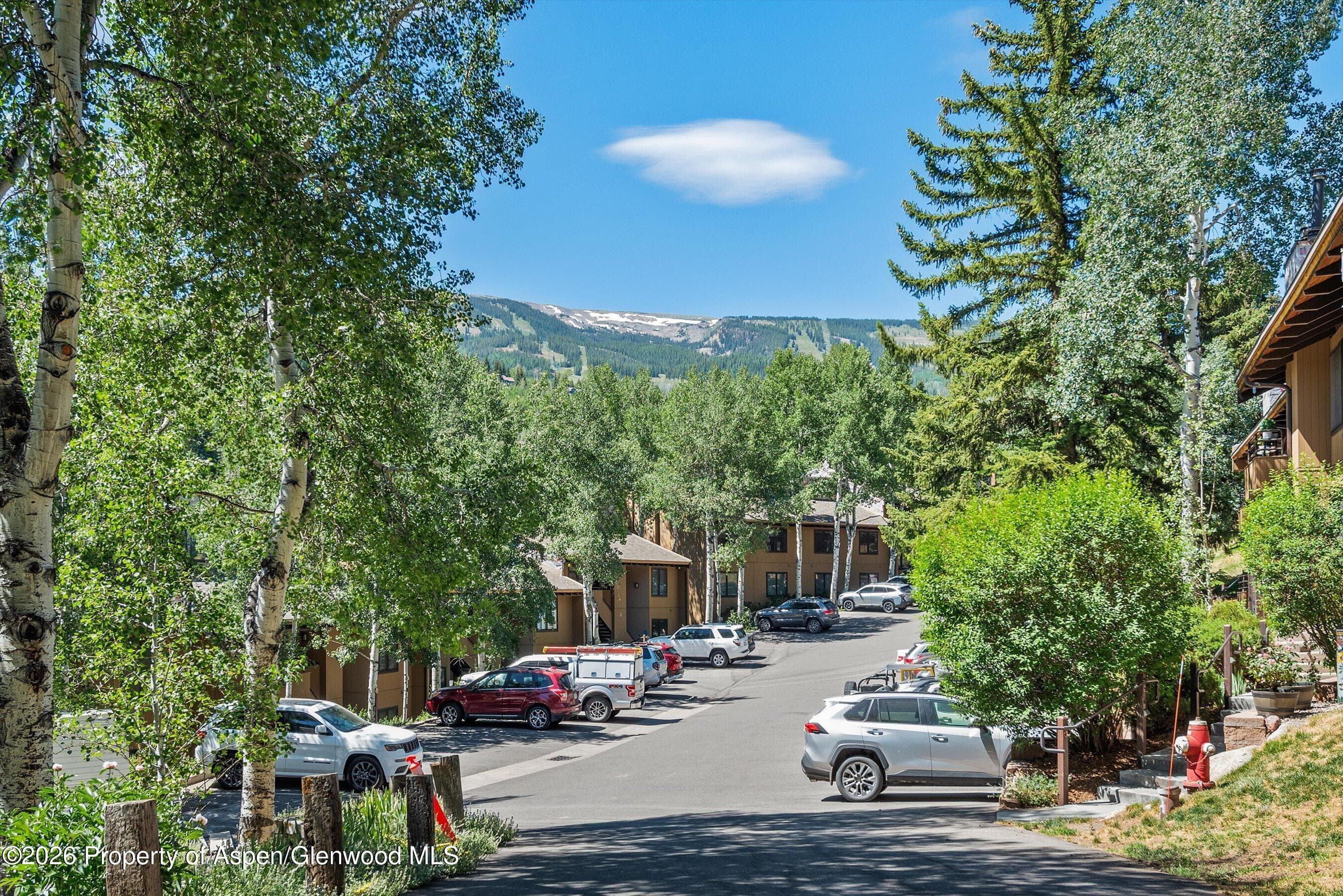 35 Lower Woodbridge Road O155, Snowmass Village, CO 81615 - Photo 14