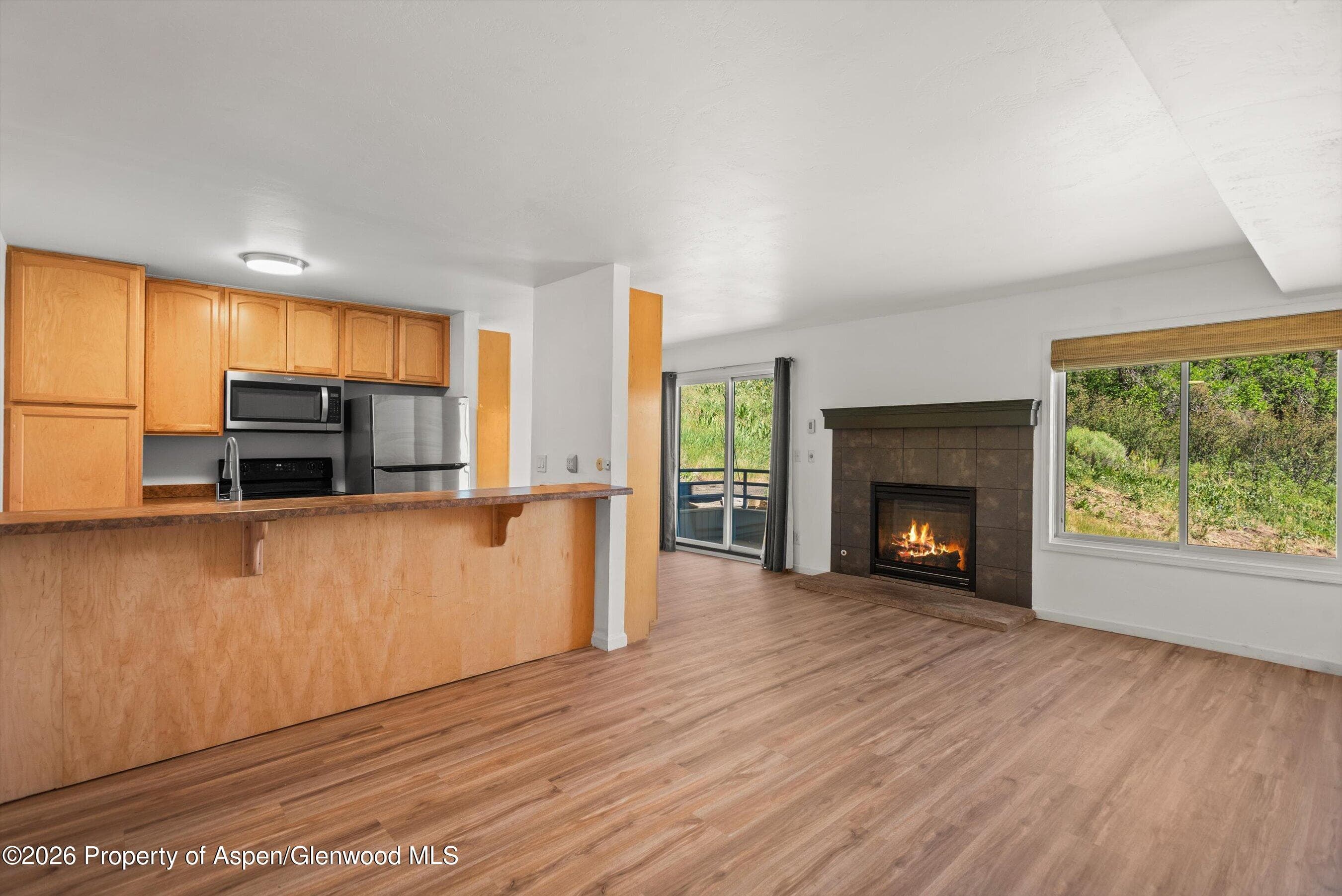 35 Lower Woodbridge Road O155, Snowmass Village, CO 81615 - Photo 2