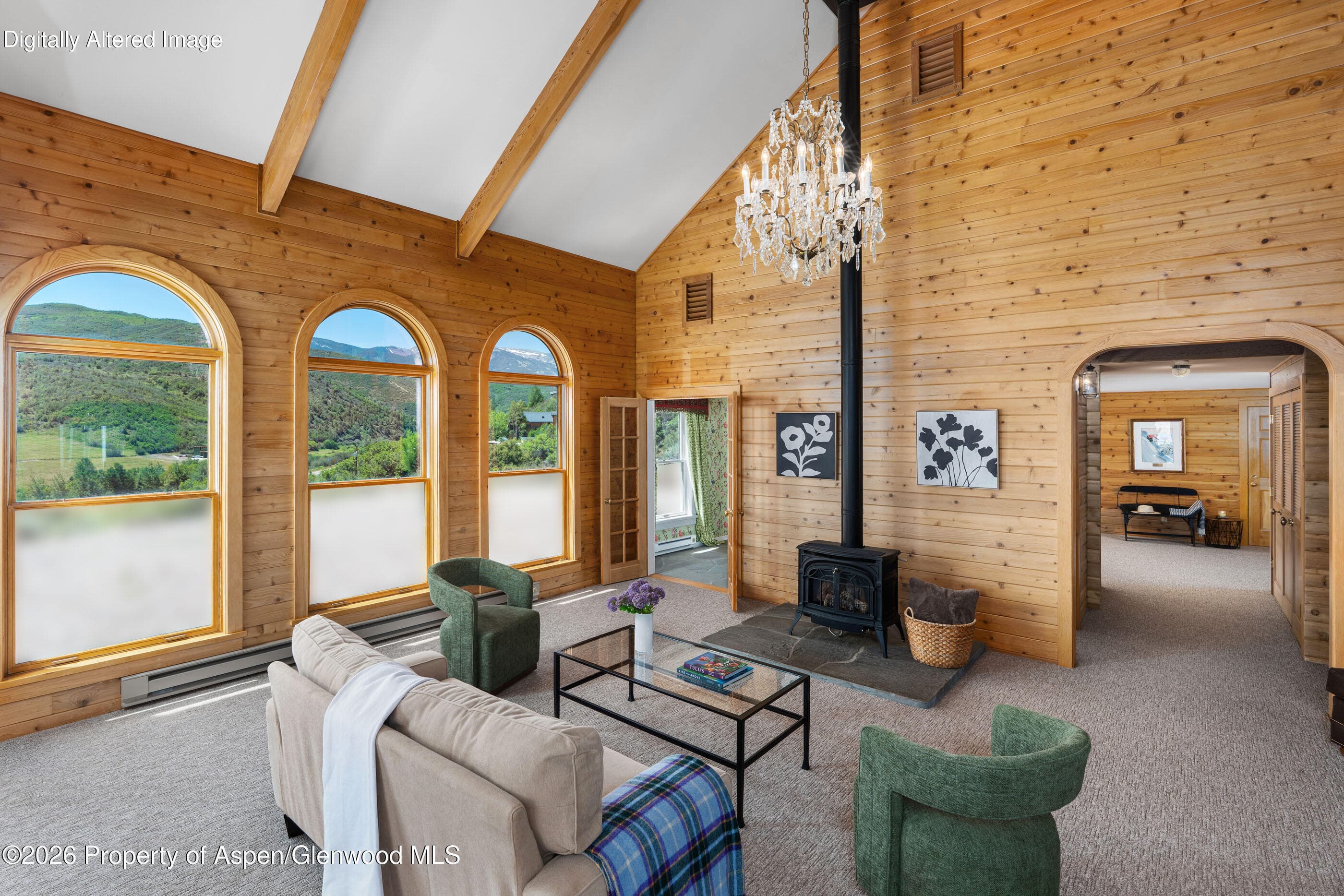 679 Brush Creek Road, Aspen, CO 81611 - Photo 7